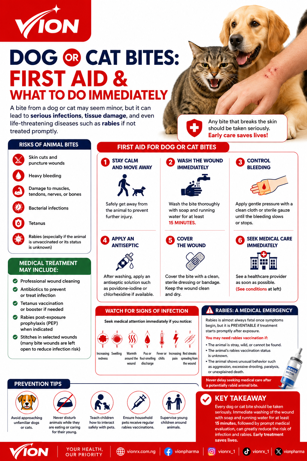 Dog or Cat Bites: First Aid and What to Do Immediately