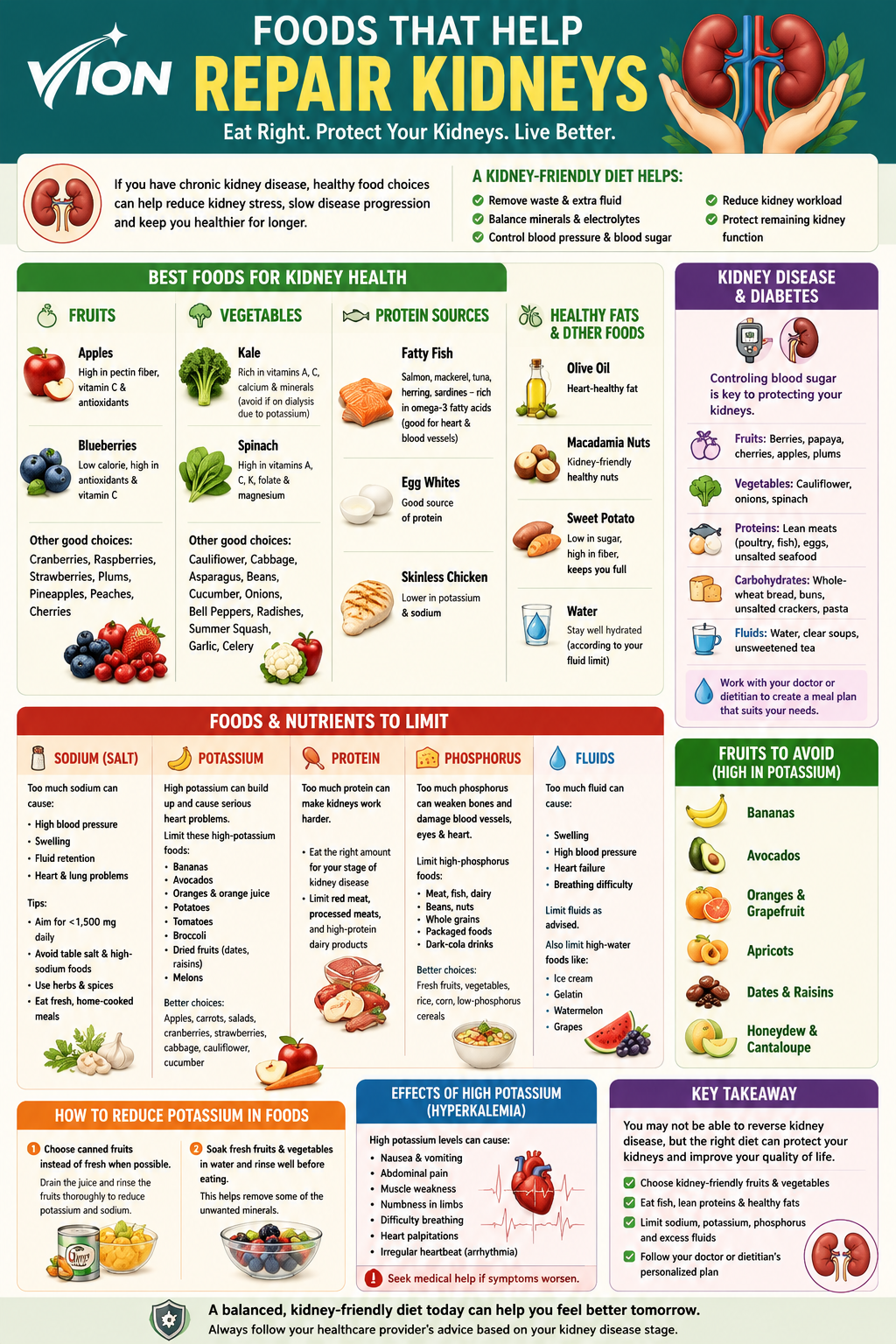 Foods That Help Support Kidney Health
