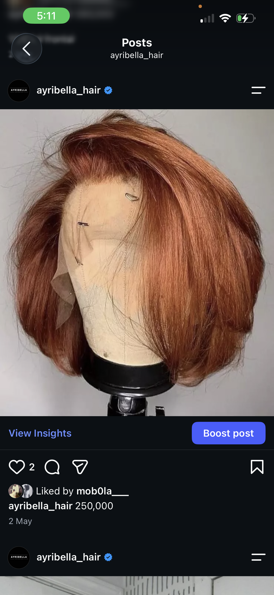 WIG COLORING (Plain colors)