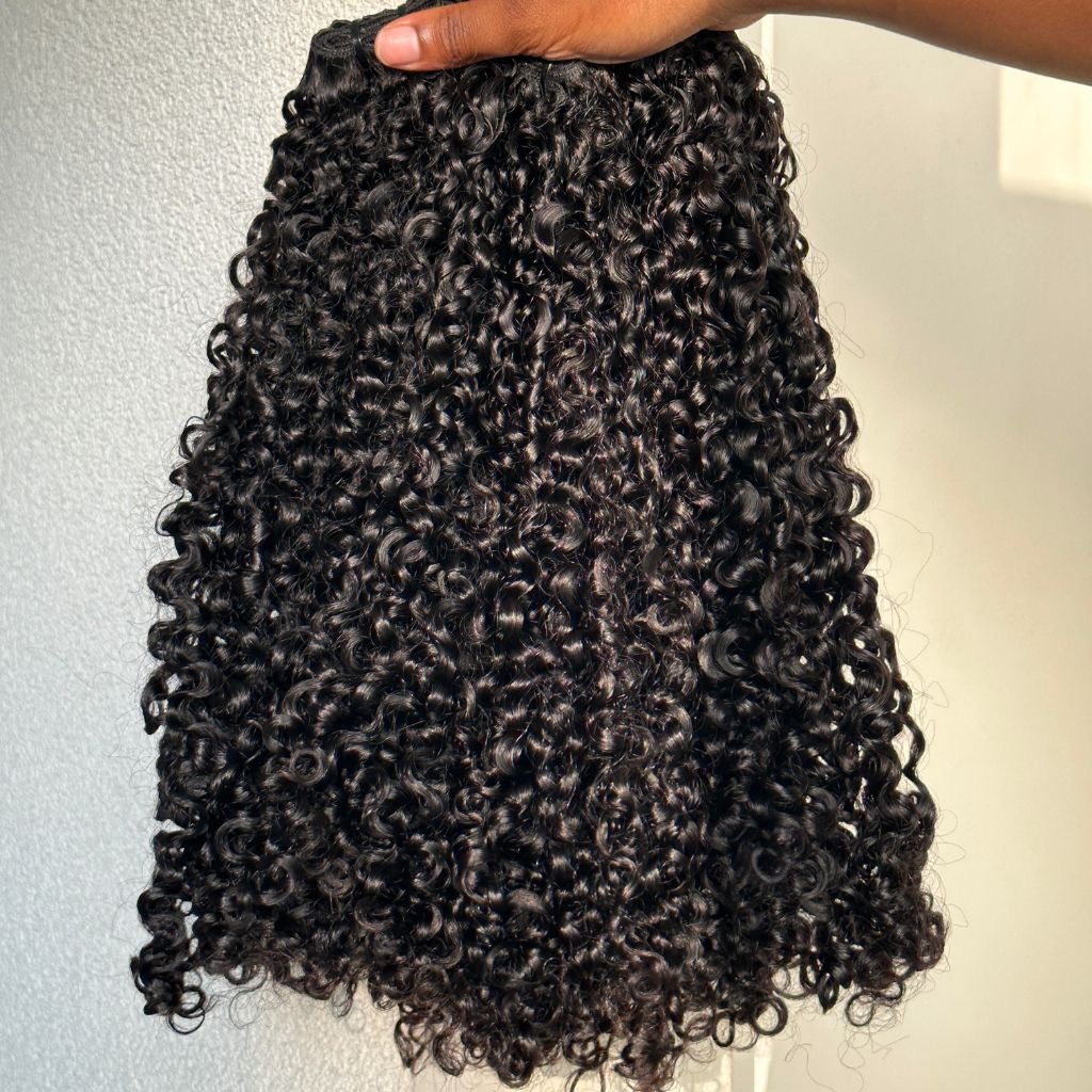PIXIE/ BURMESE CURLS/DEEPWAVE