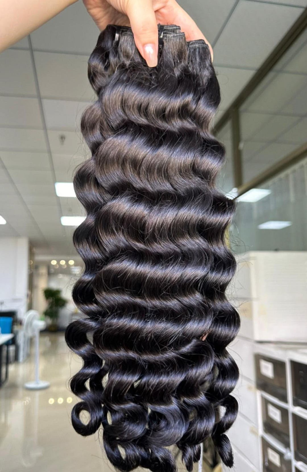 PIXIE/ BURMESE CURLS/DEEPWAVE