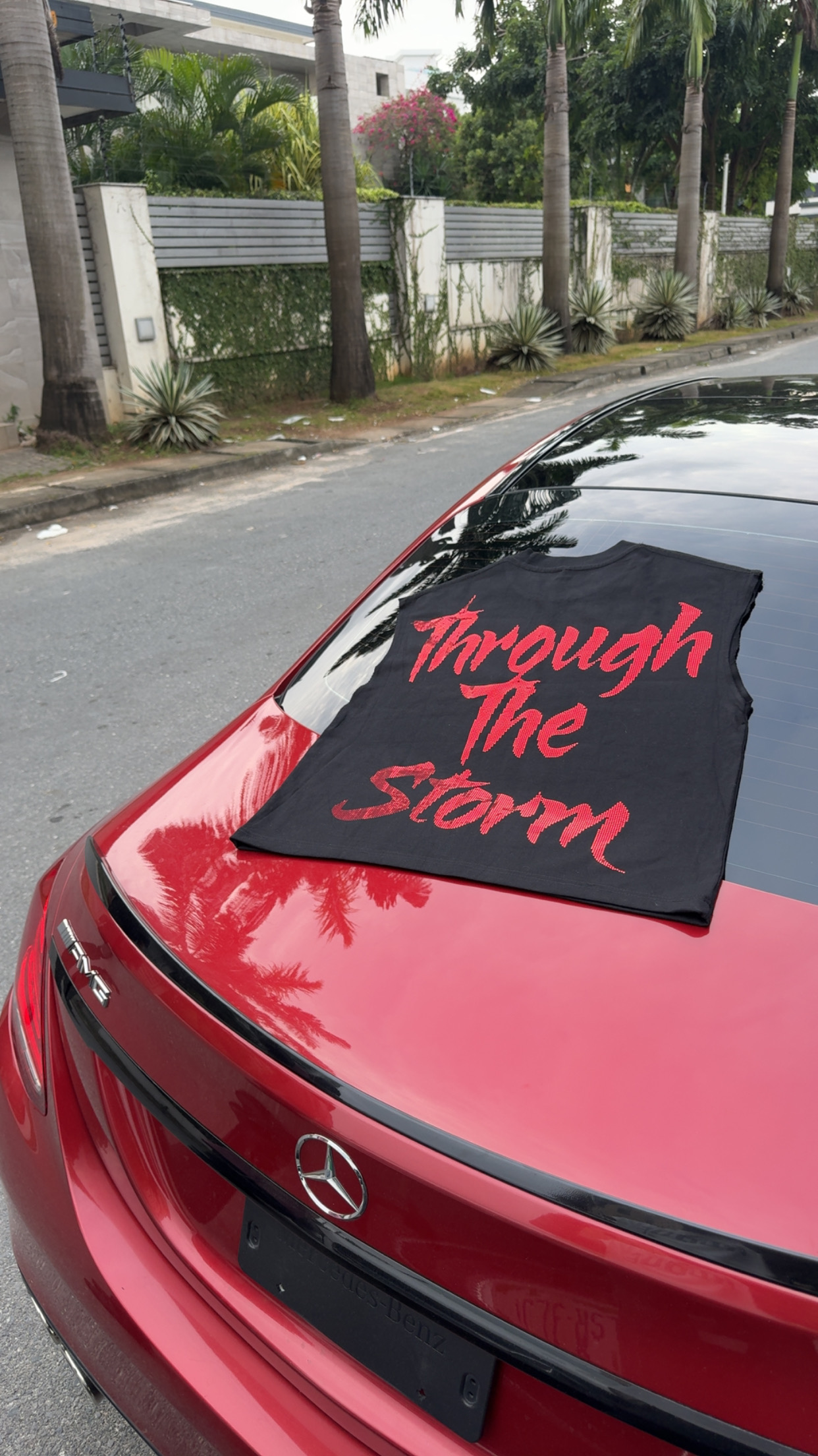 Through the storm image