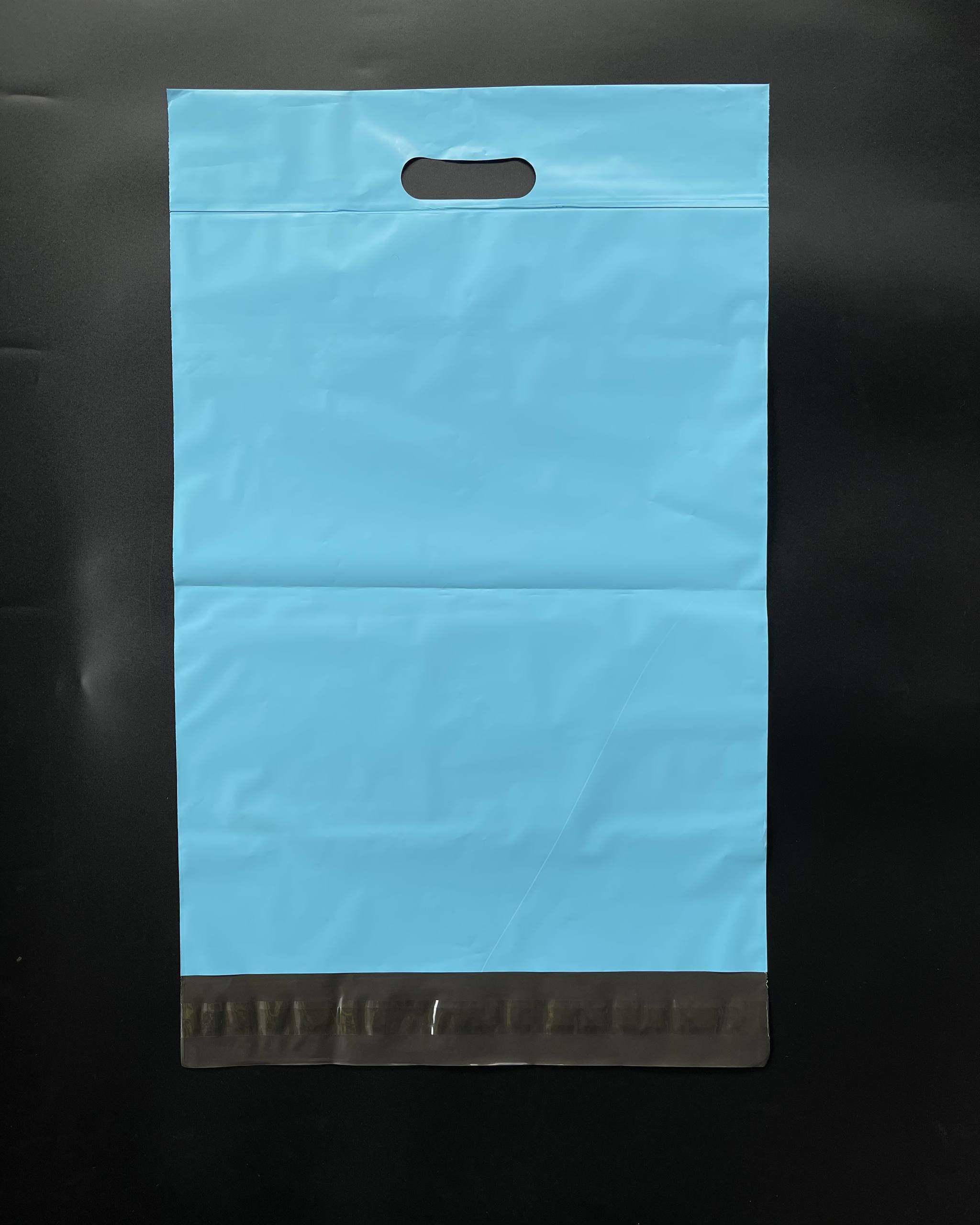 Blue Polymailer with Handle