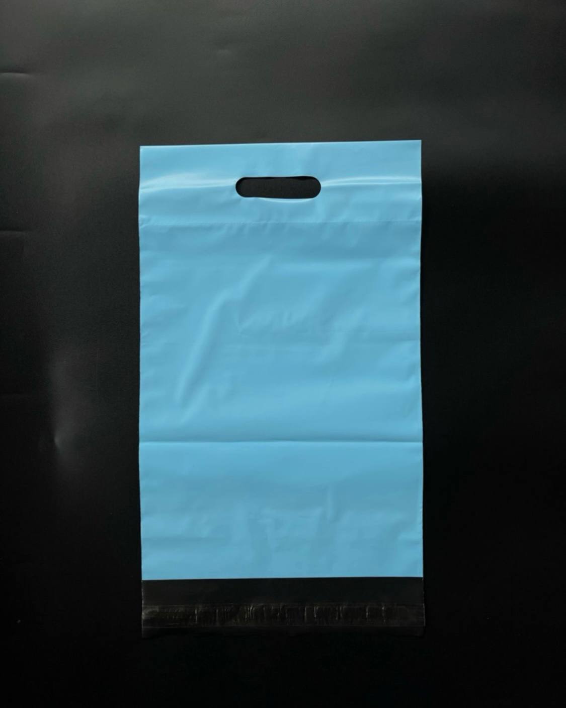 Blue Polymailer with Handle