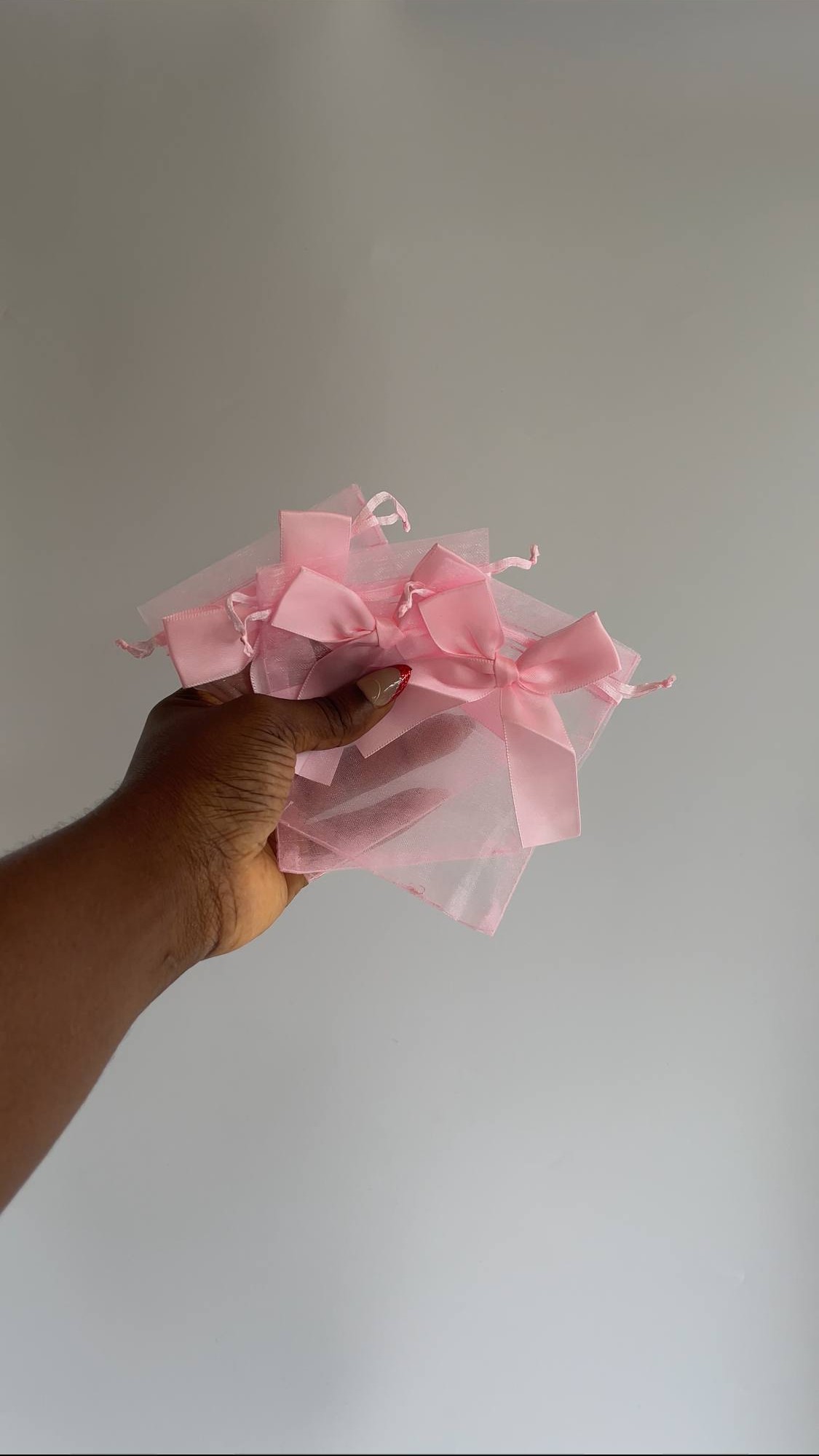Small Organza Bag with Bow - 5pcs