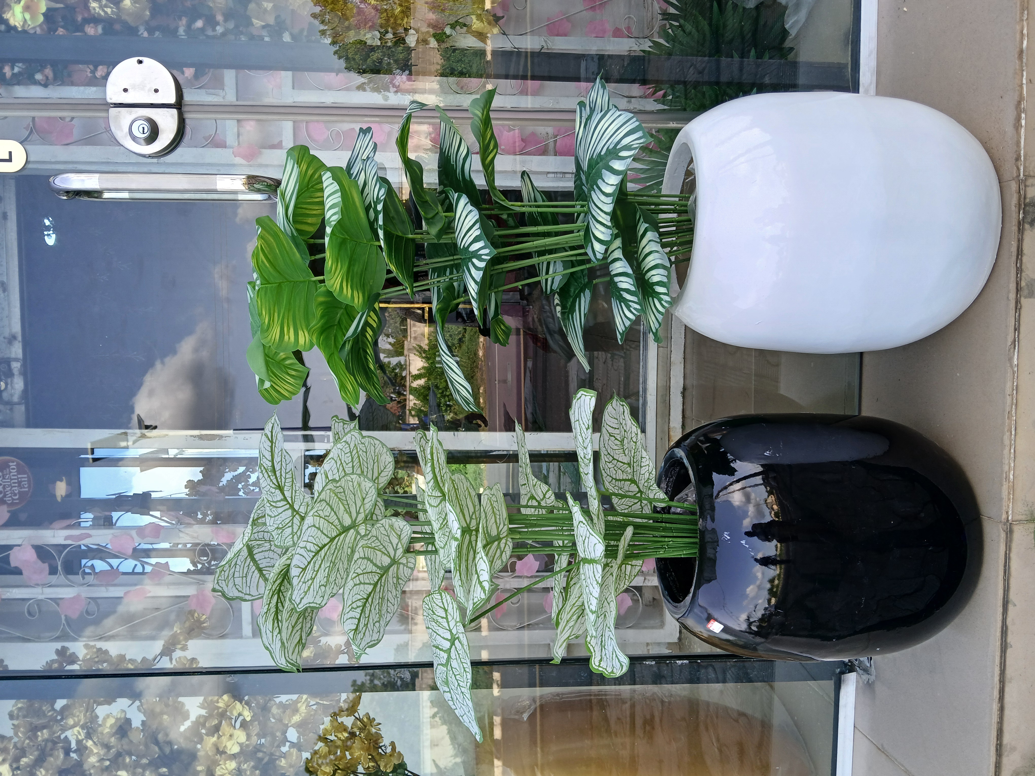 Bunch Tree In Fibre Vase image