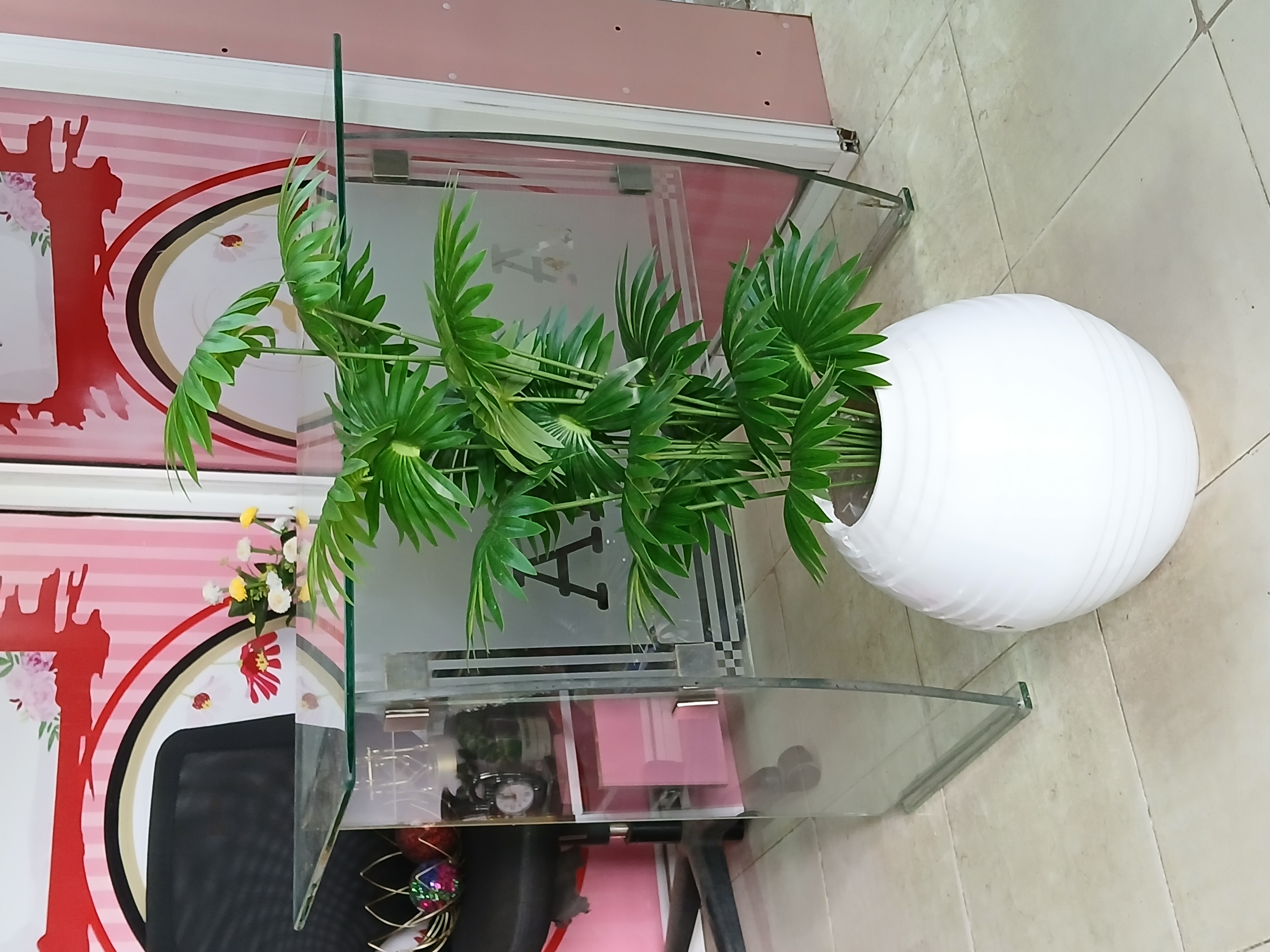 Bunch Tree In Fibre Planter image