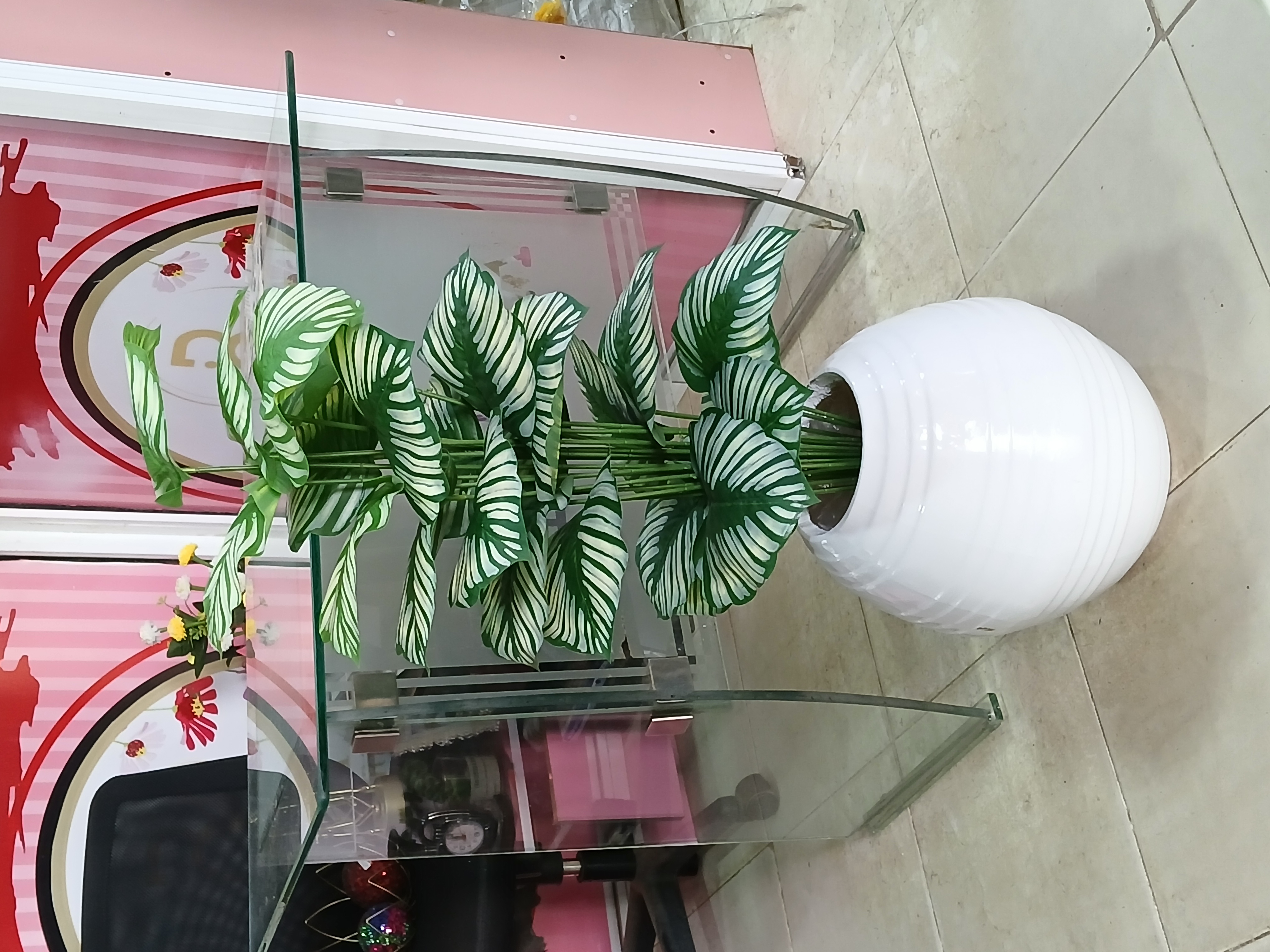 Bunch Tree In Fibre Planter image