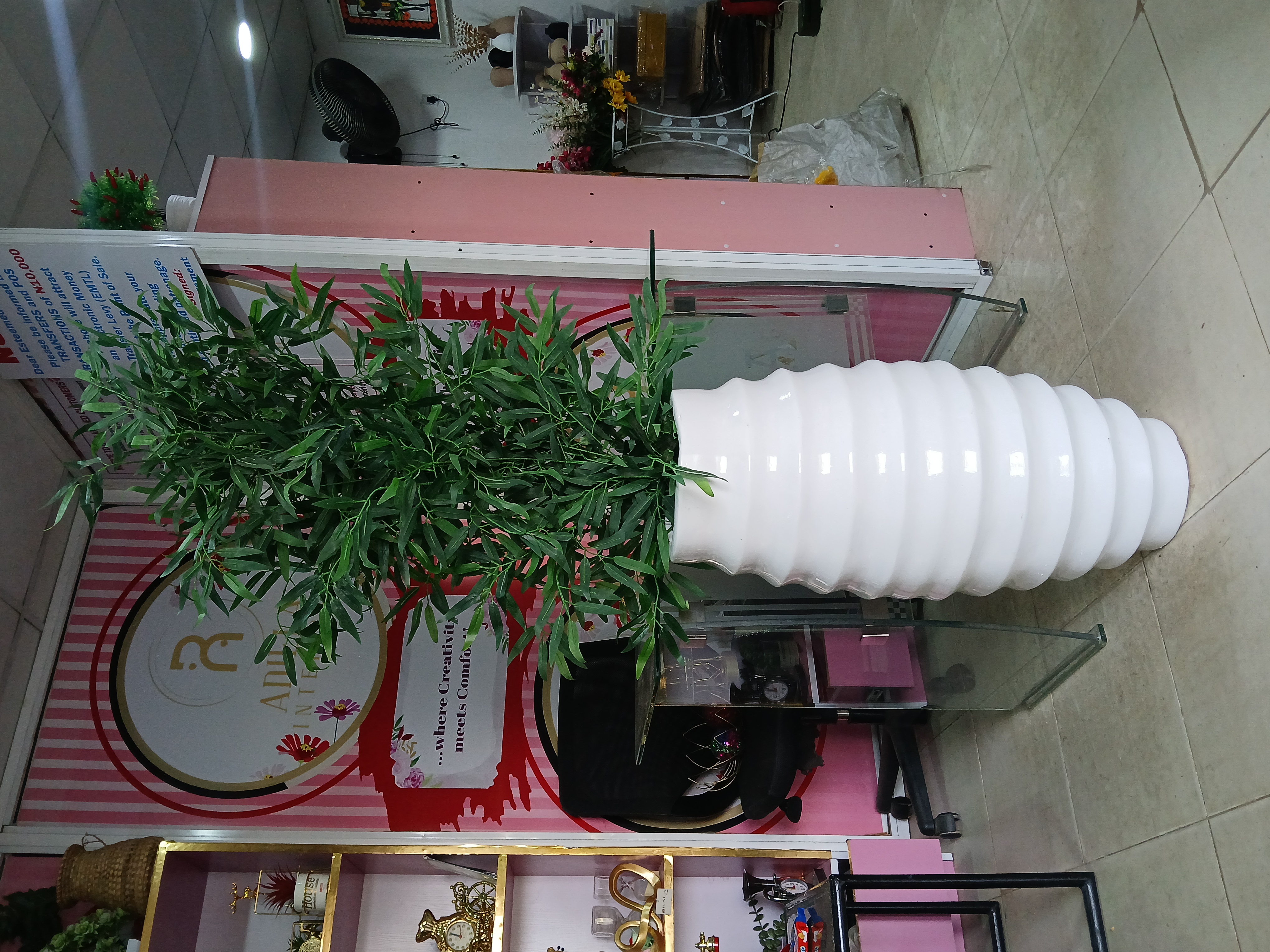 Bamboo Tree In Fibre Planter second image