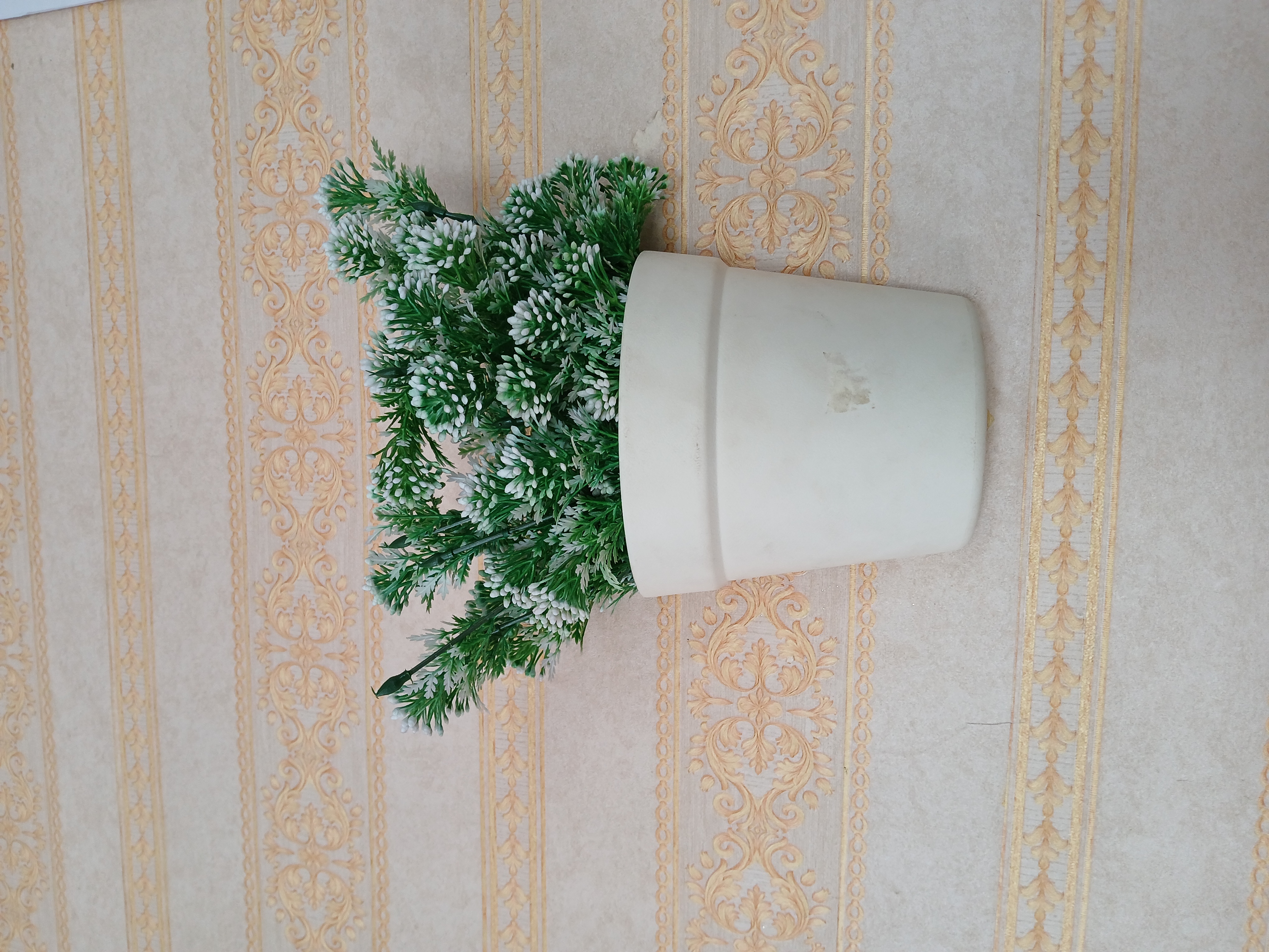 Wall Hanging Planters Image