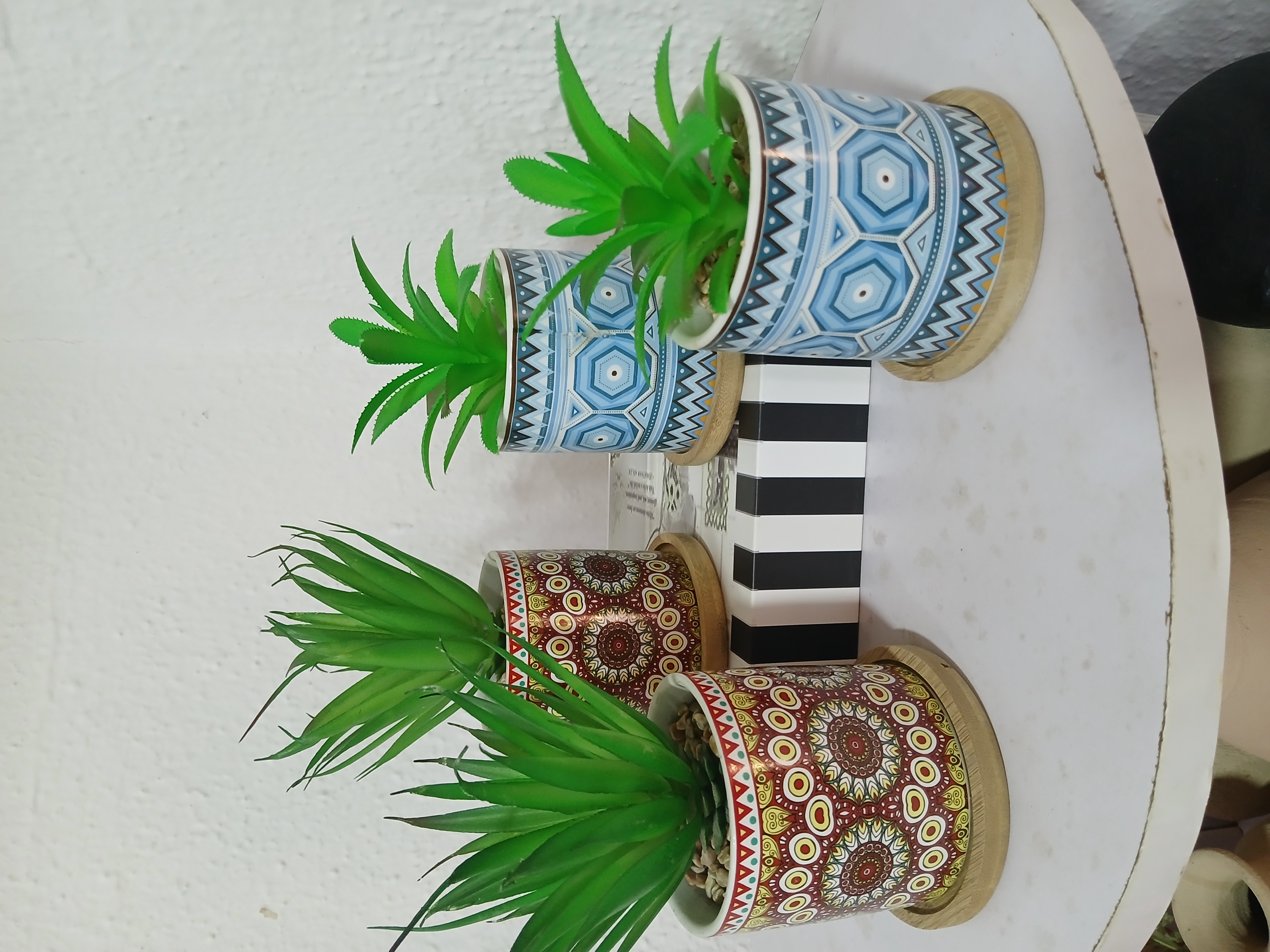 Trybe Potted Flower Image