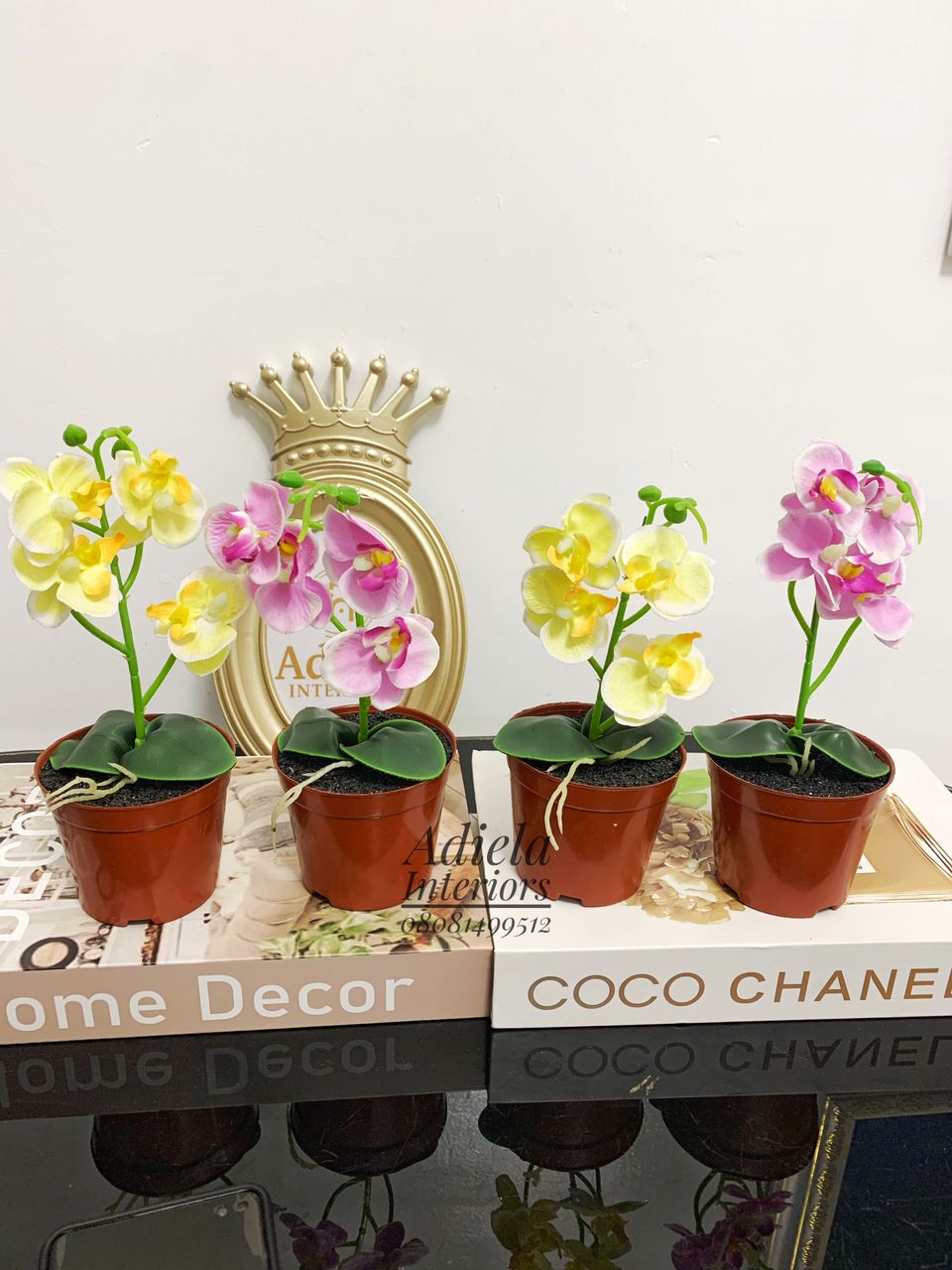 Potted Mini Orchid second image