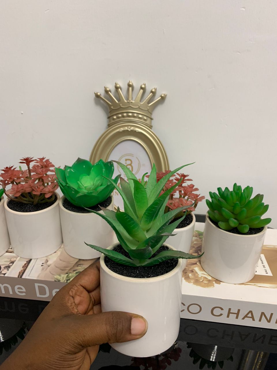 Potted Succulent Flower Image