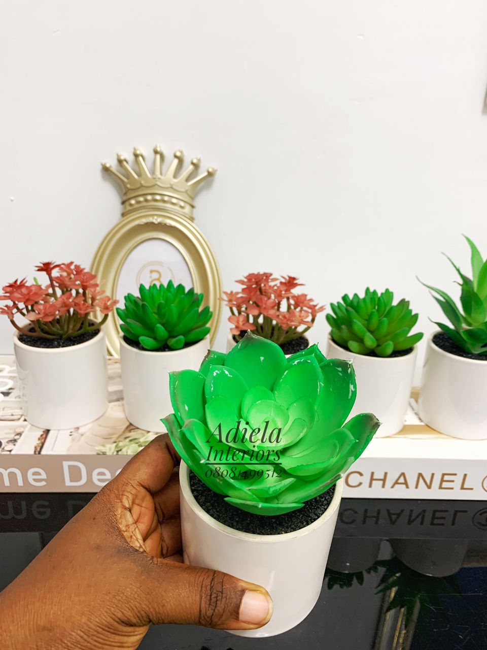 Potted Succulent Flower image