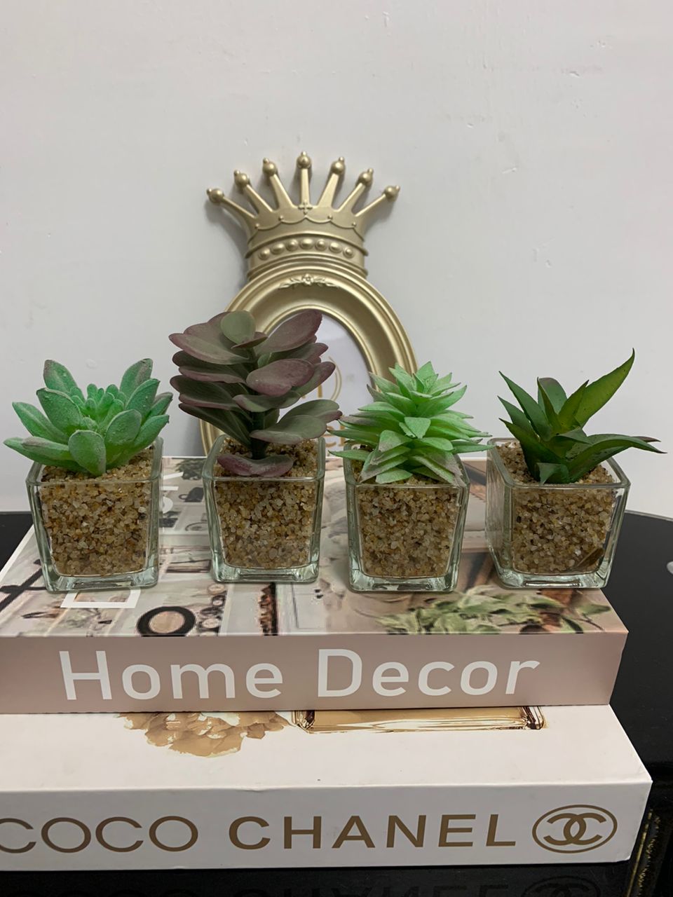 Miniature Succulent second image