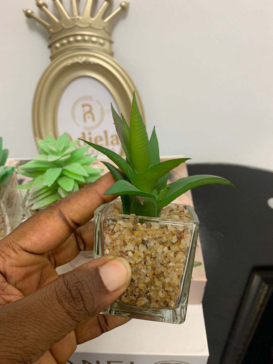 Miniature Succulent image