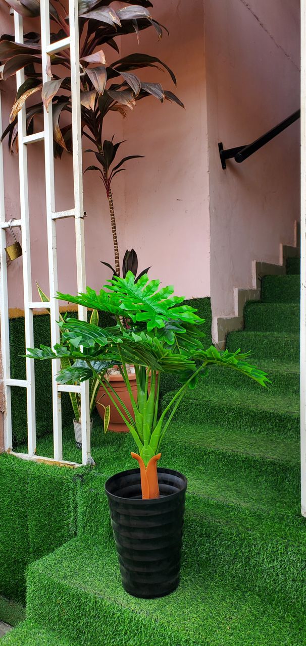 Artificial Tree In Plastic planter Image