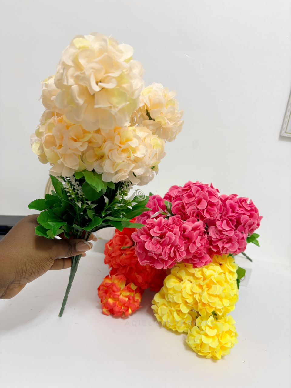 Small Carnation Flowers Image