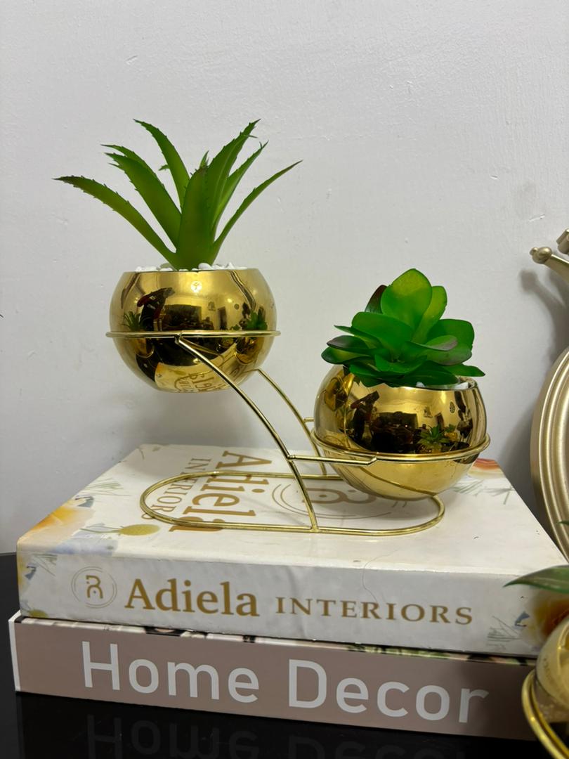 2 Step Potted Flower Image