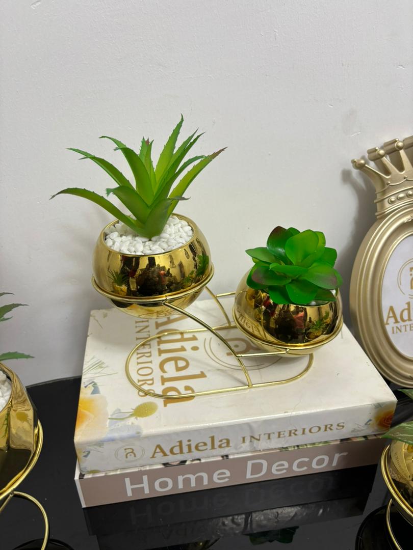 2 Step Potted Flower image