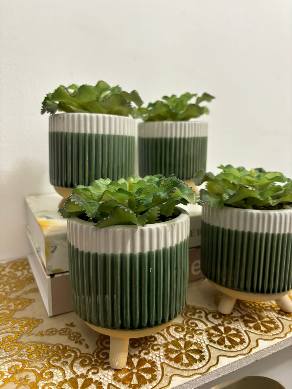 Potted Succulents Image