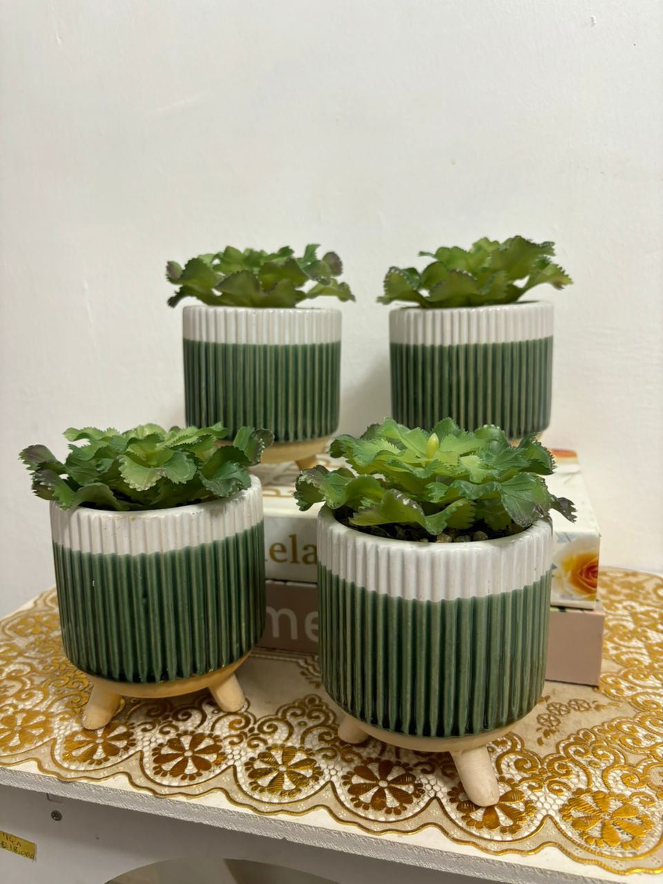 Potted Succulents second image