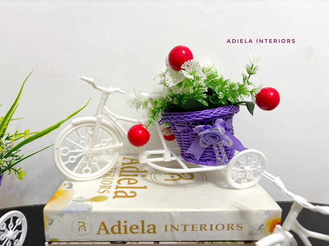 Potted Bicycle Decor Image