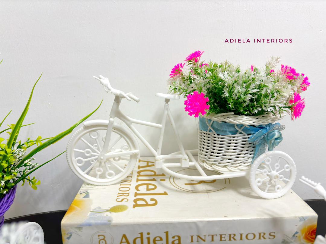 Potted Bicycle Decor Image