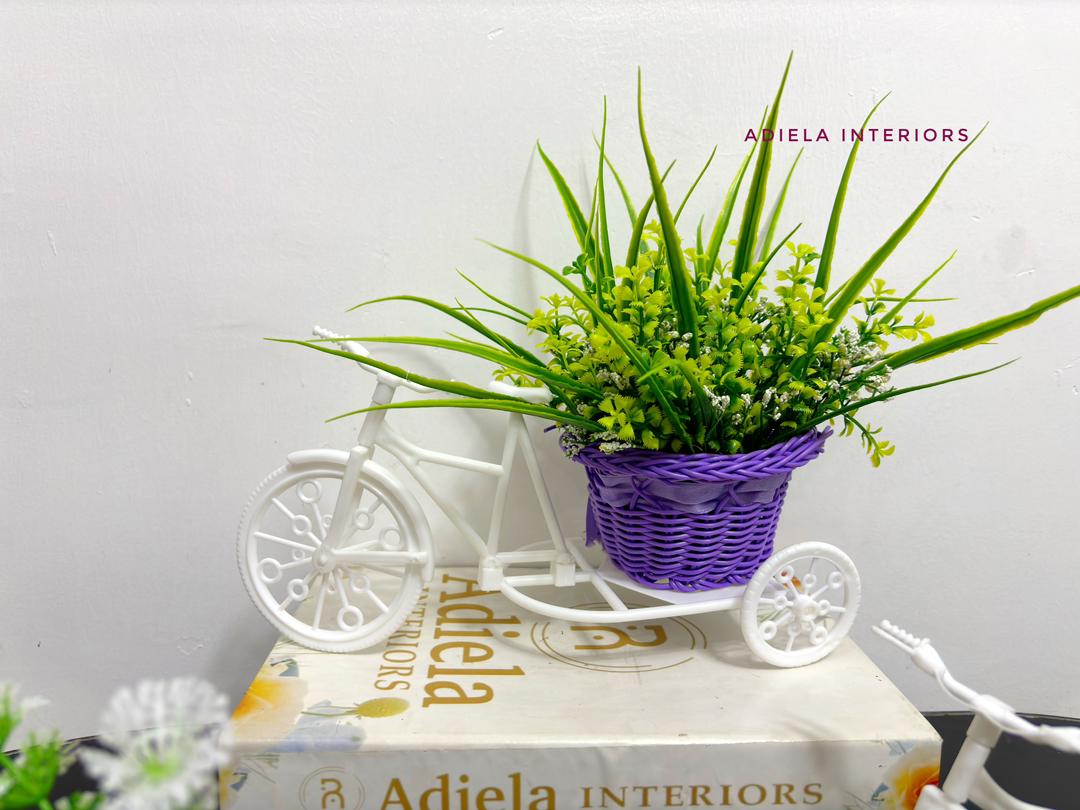 Potted Bicycle Decor Image