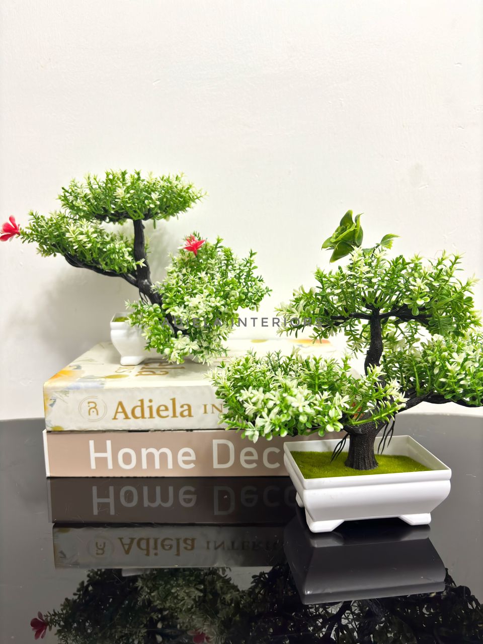 Potted Bonsai Tree second image