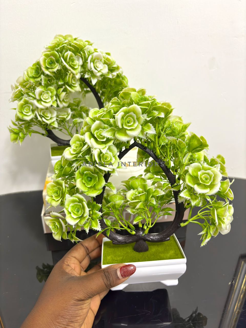 Potted Bonsai Tree second image