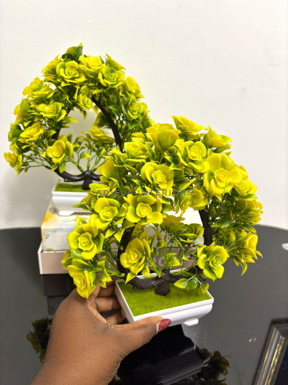 Potted Bonsai Tree second image