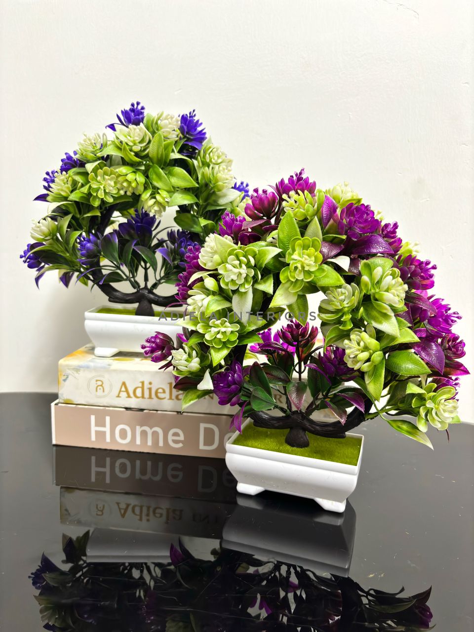 Potted Bonsai Tree Image