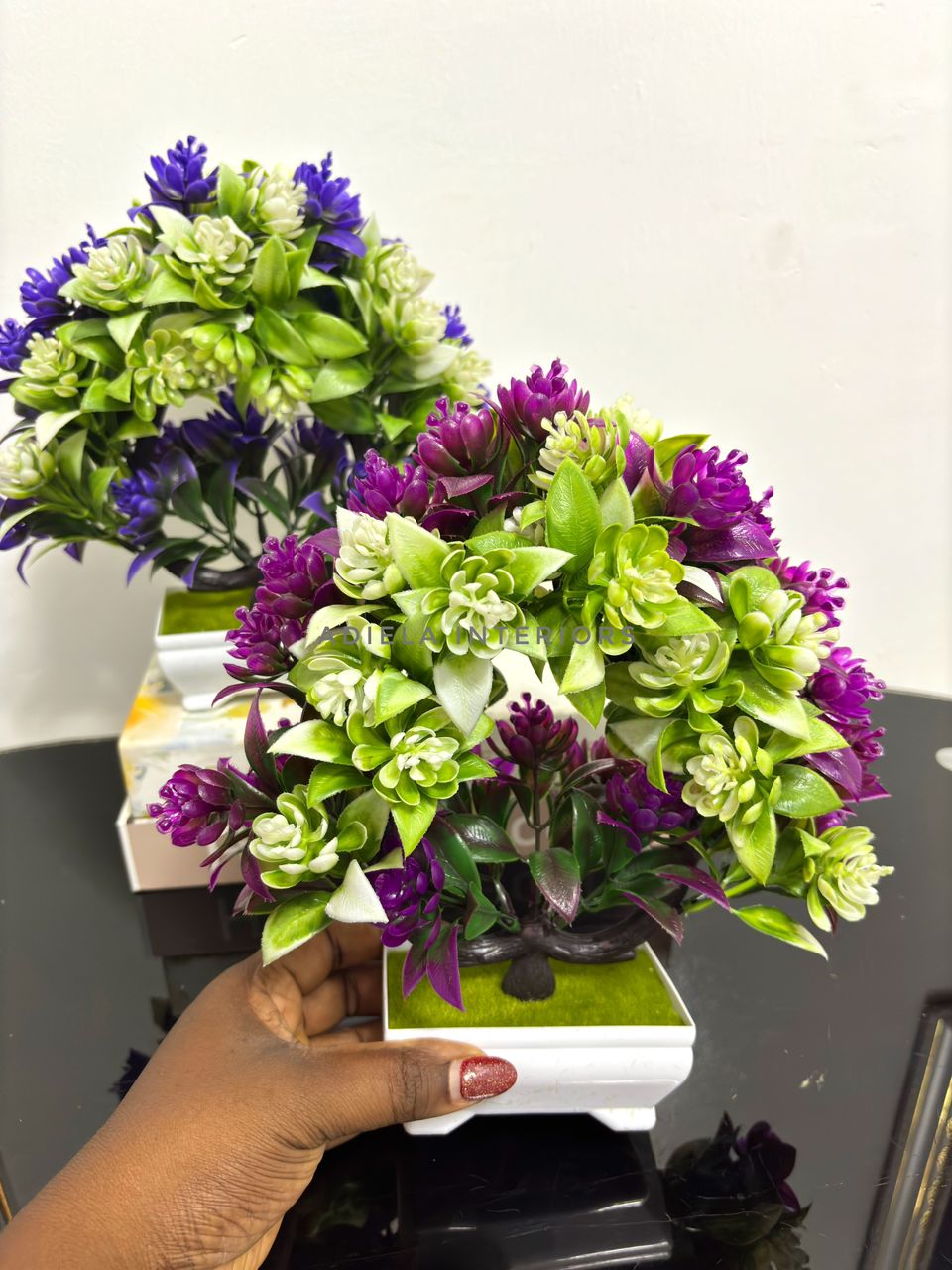 Potted Bonsai Tree second image