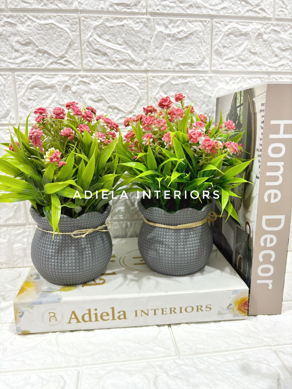 Potted Prime Flower Image