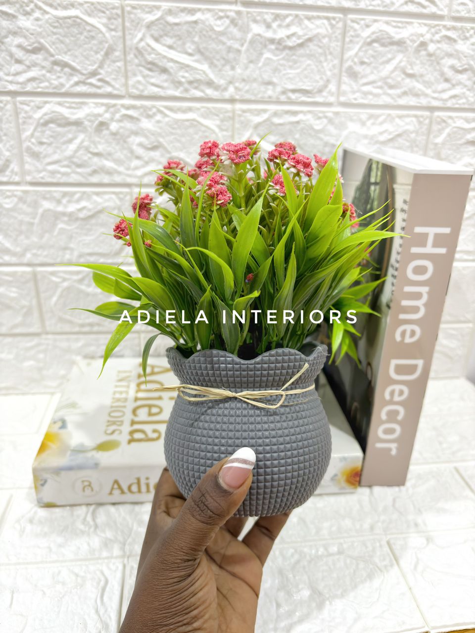 Potted Prime Flower second image