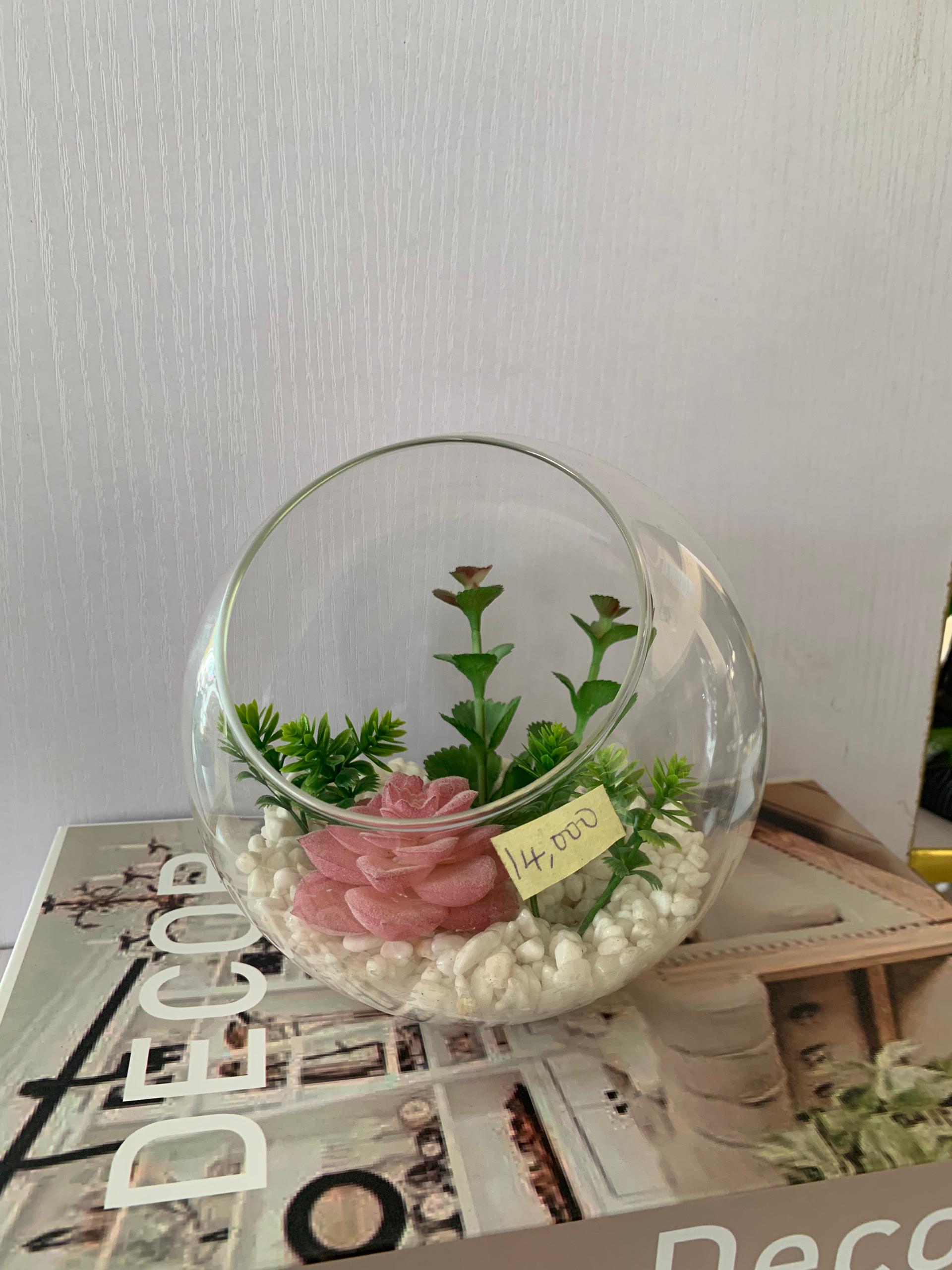 Faux succulents flower vase in glass Fish Bowl Image