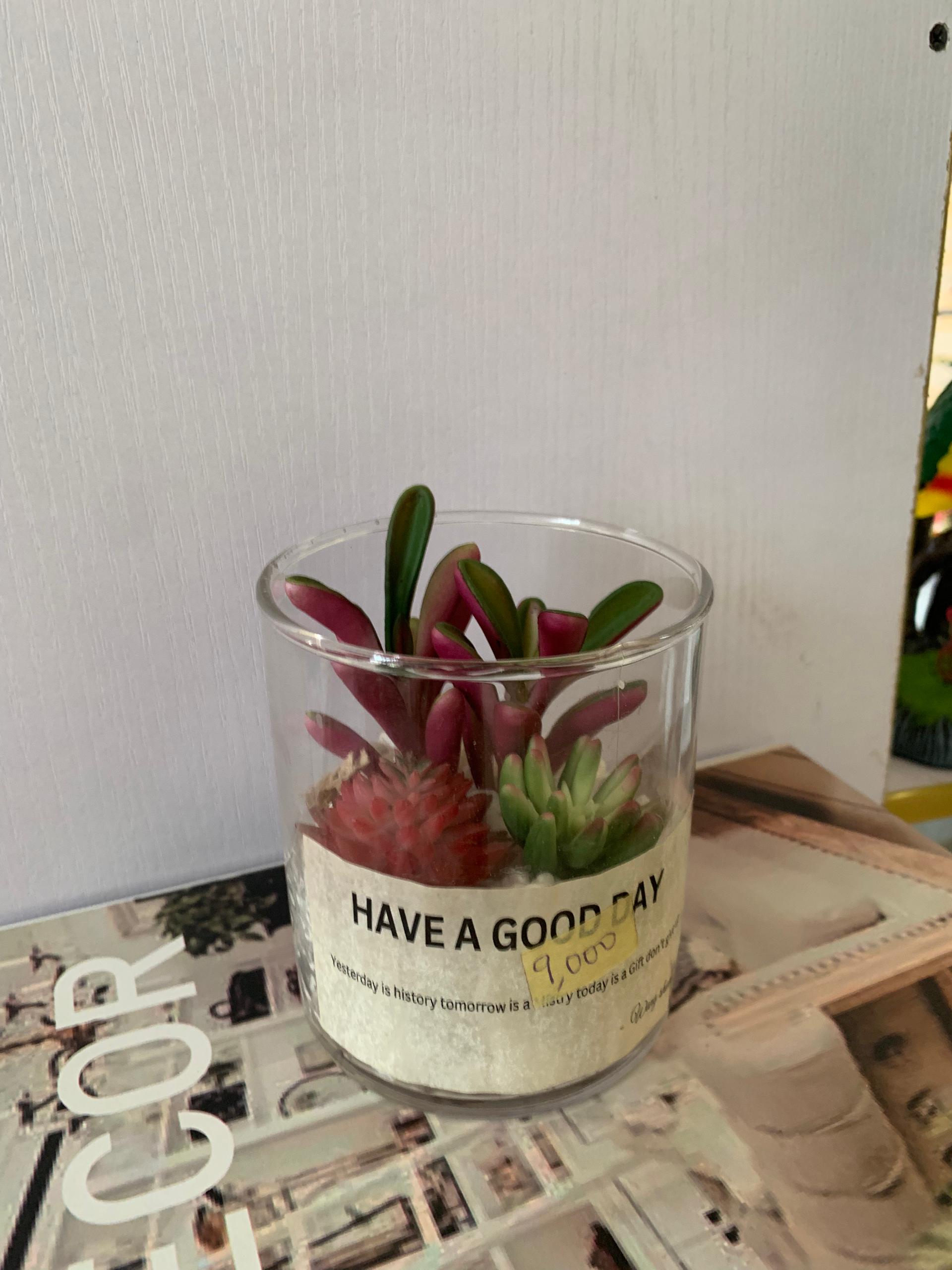 Faux succulents flower in glass vase second image