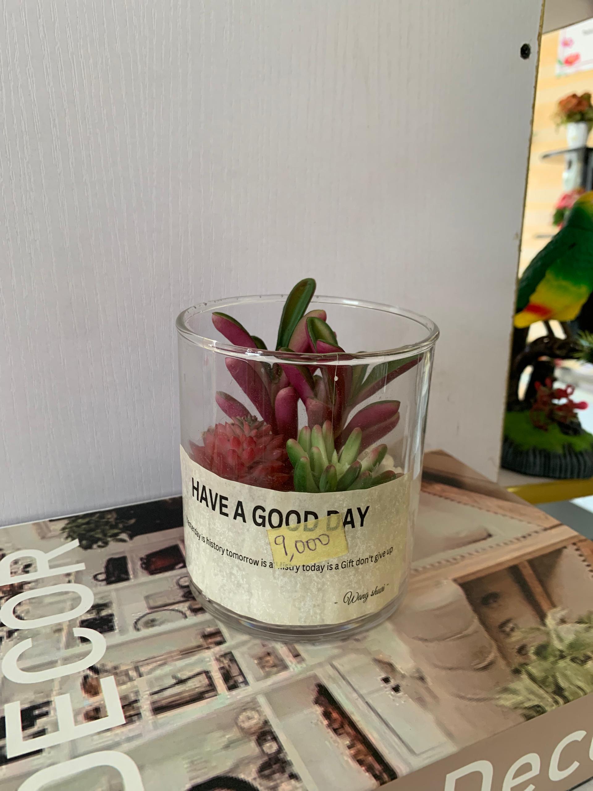 Faux succulents flower in glass vase image