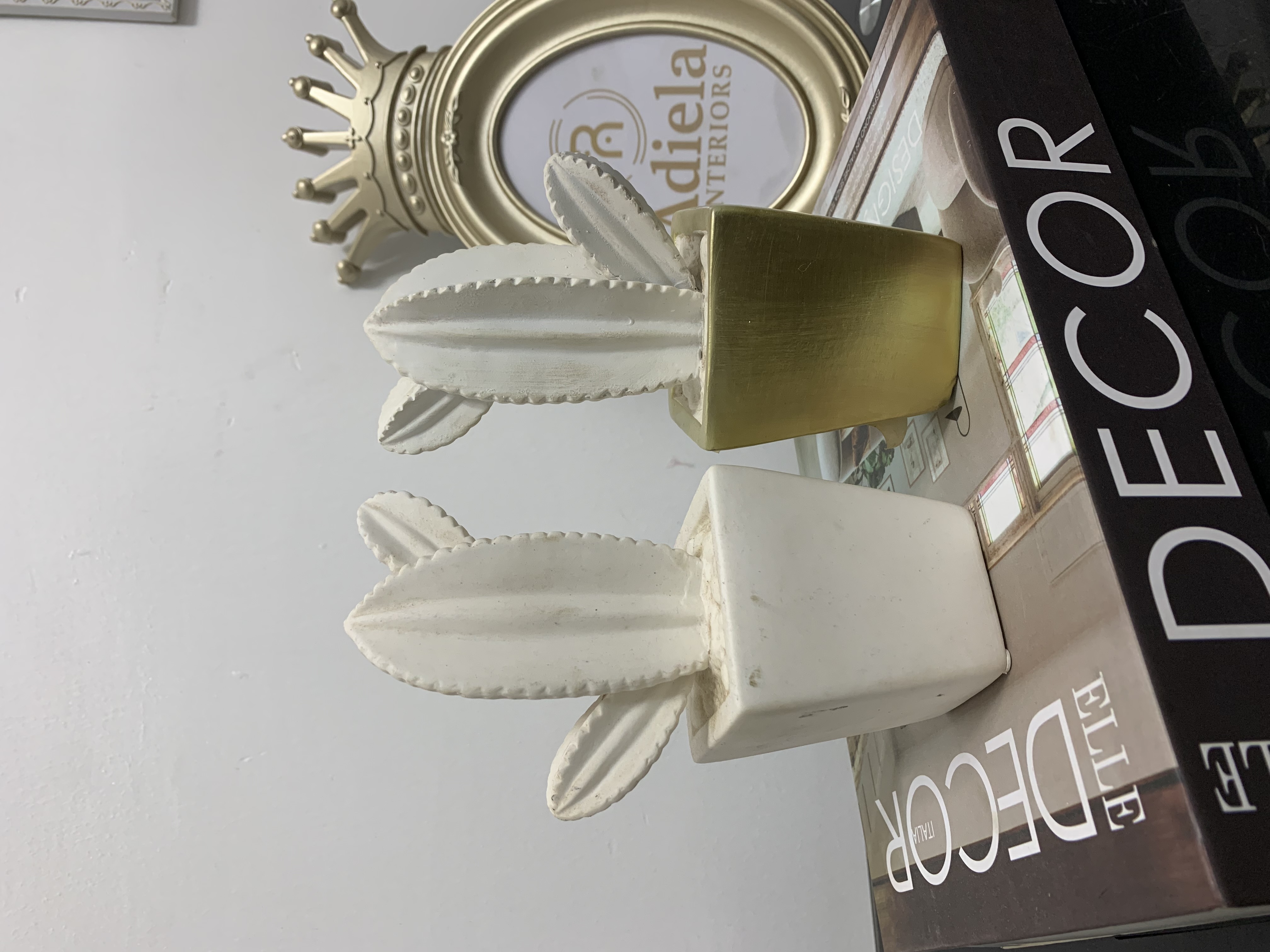 2 Pcs Mini Decorative Cacti image