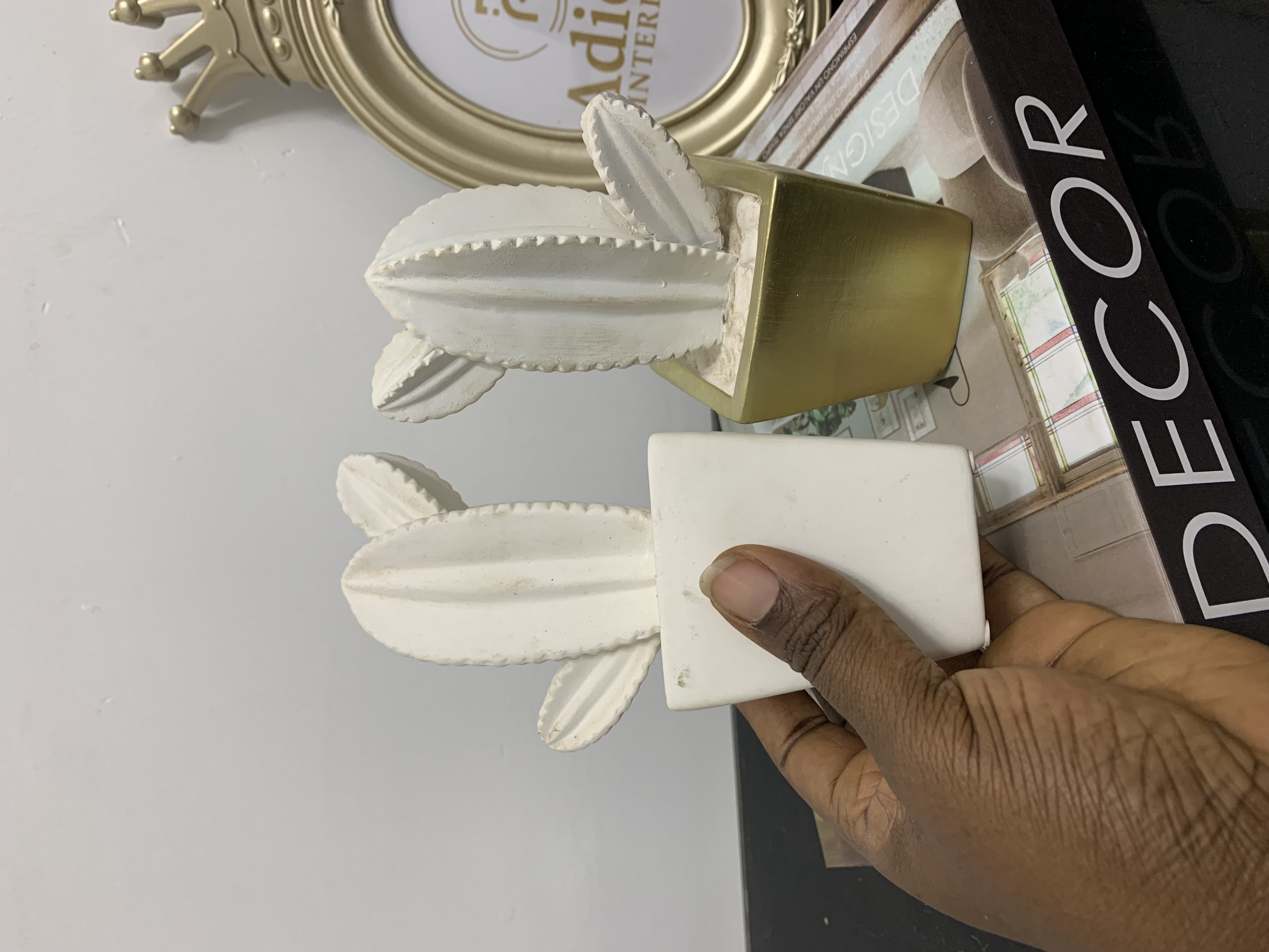 2 Pcs Mini Decorative Cacti Image