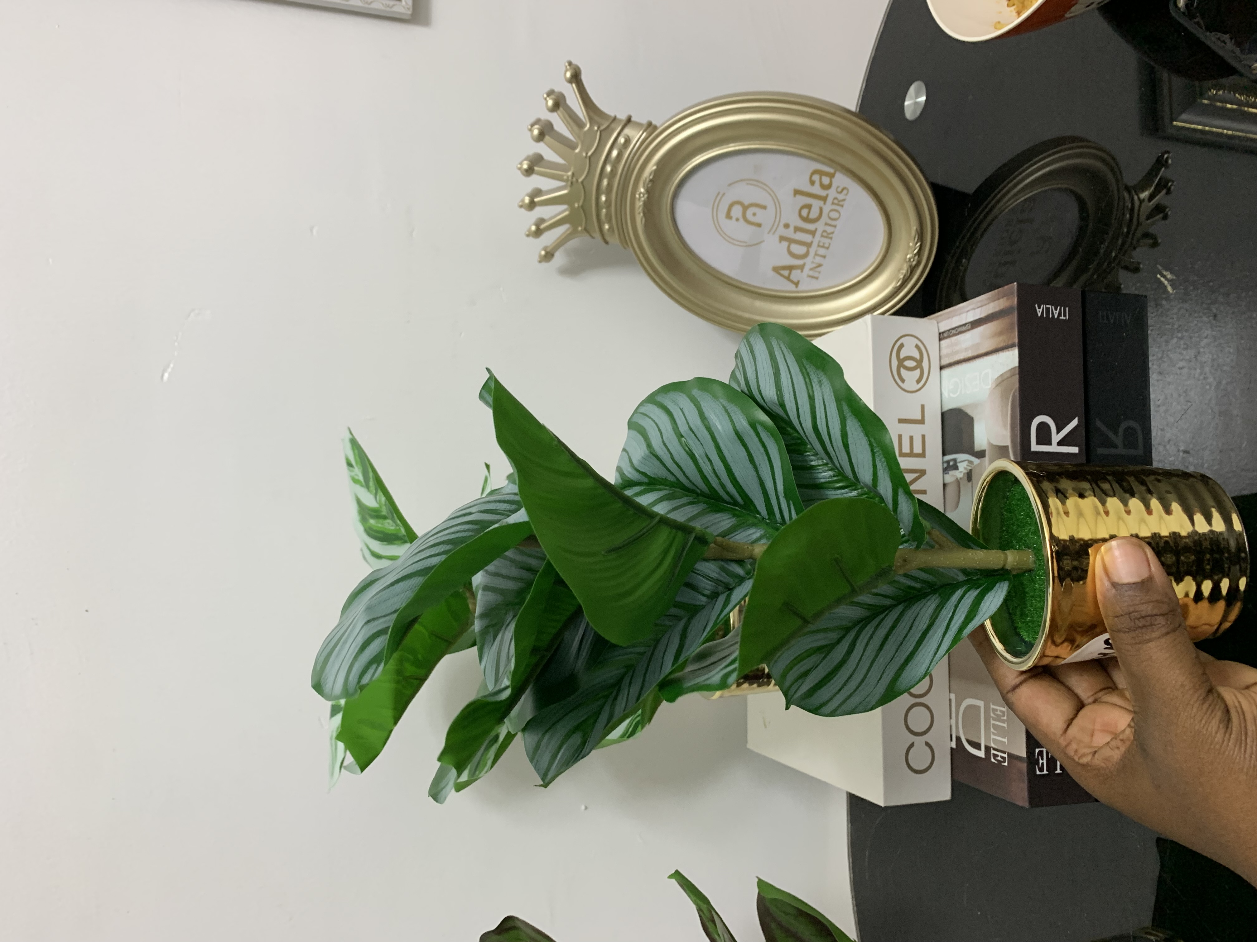 Potted Plant second image