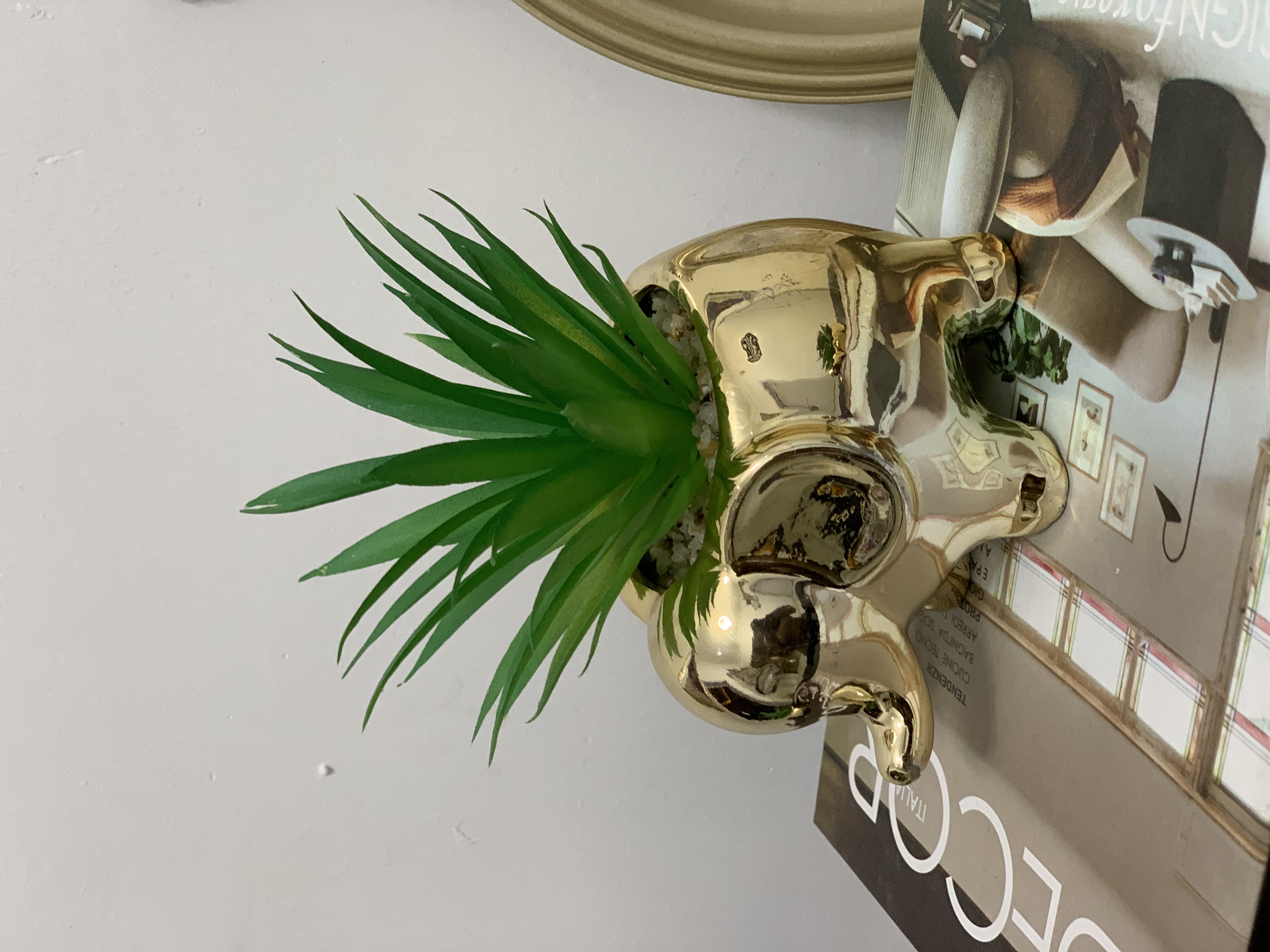 Succulent Table Decor- Elephant design image