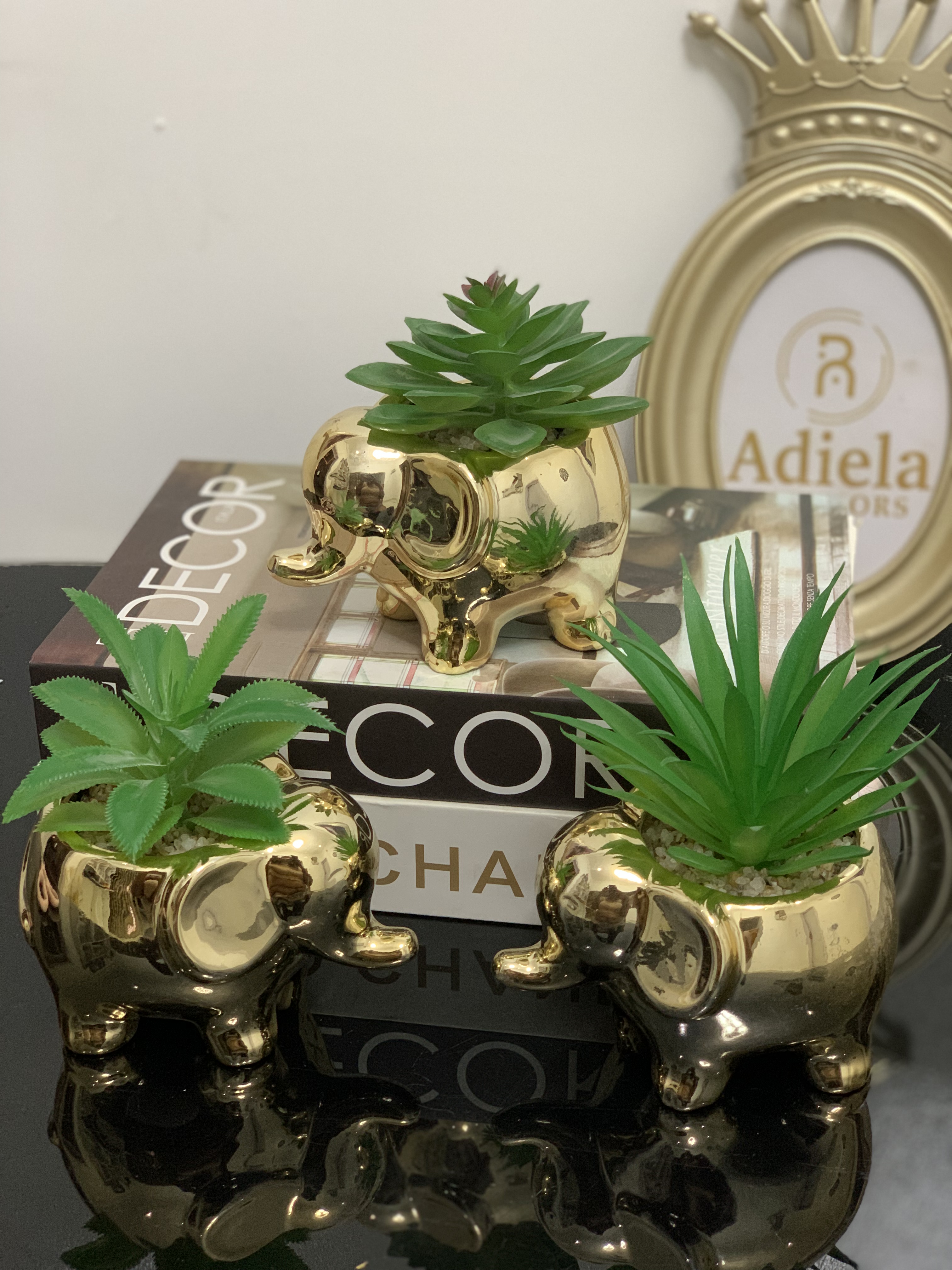 Succulent Table Decor- Elephant design Image