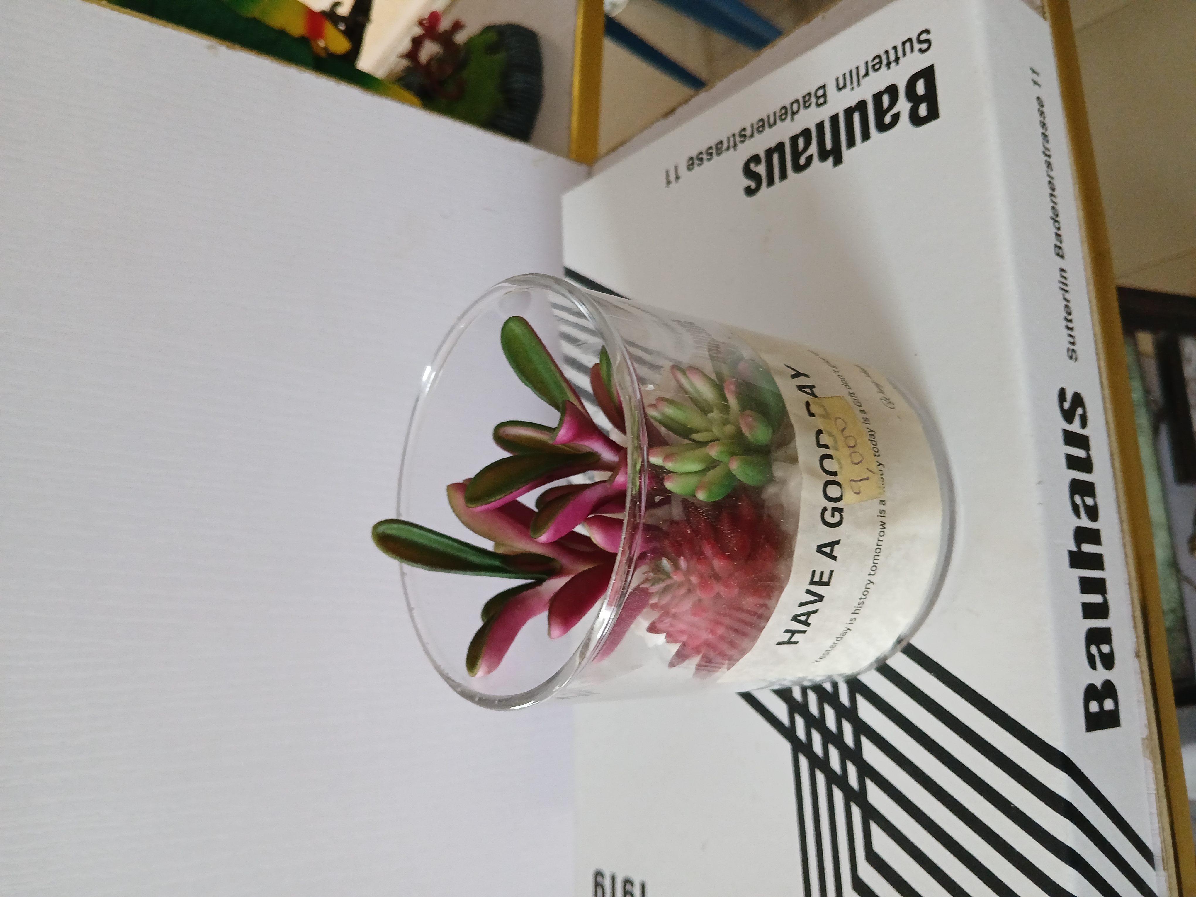 Faux Succulents in Glass Jar image