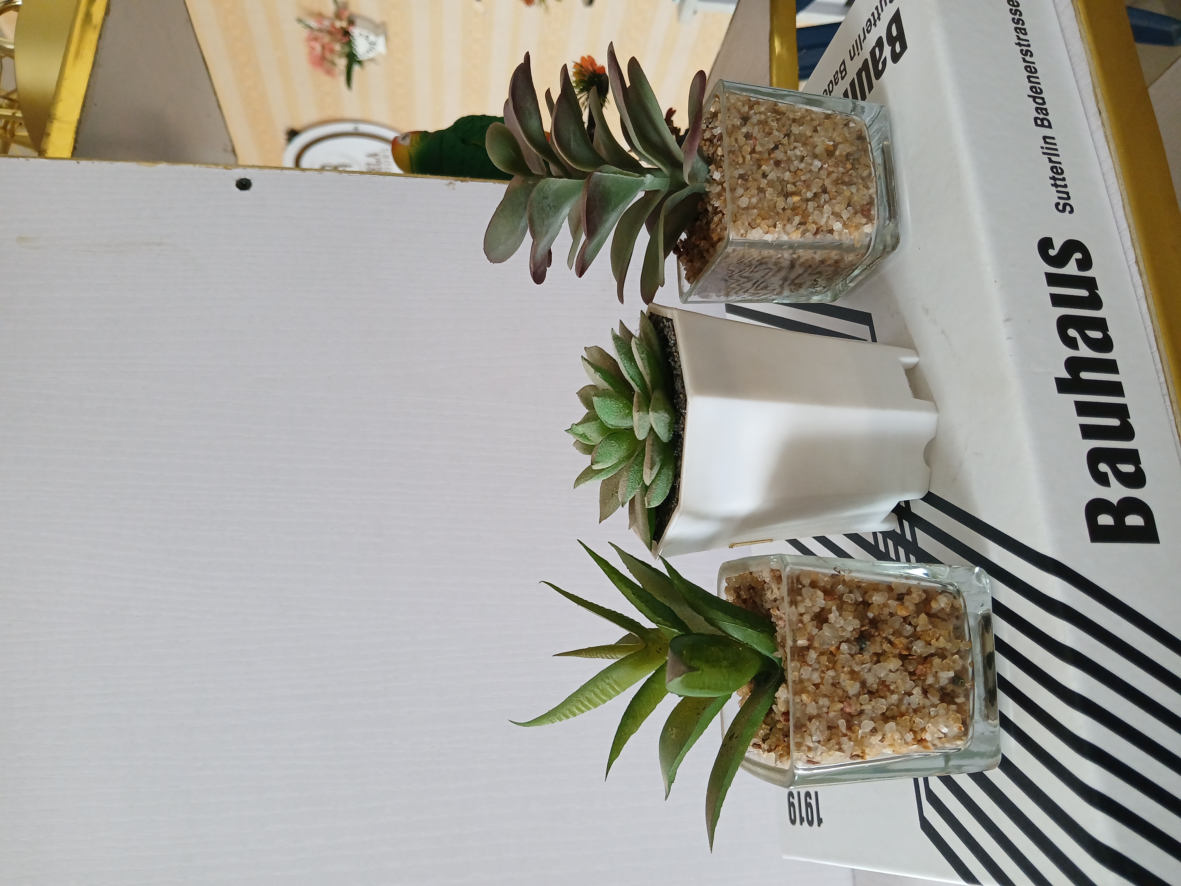 3 Pcs Mini Faux Succulent image