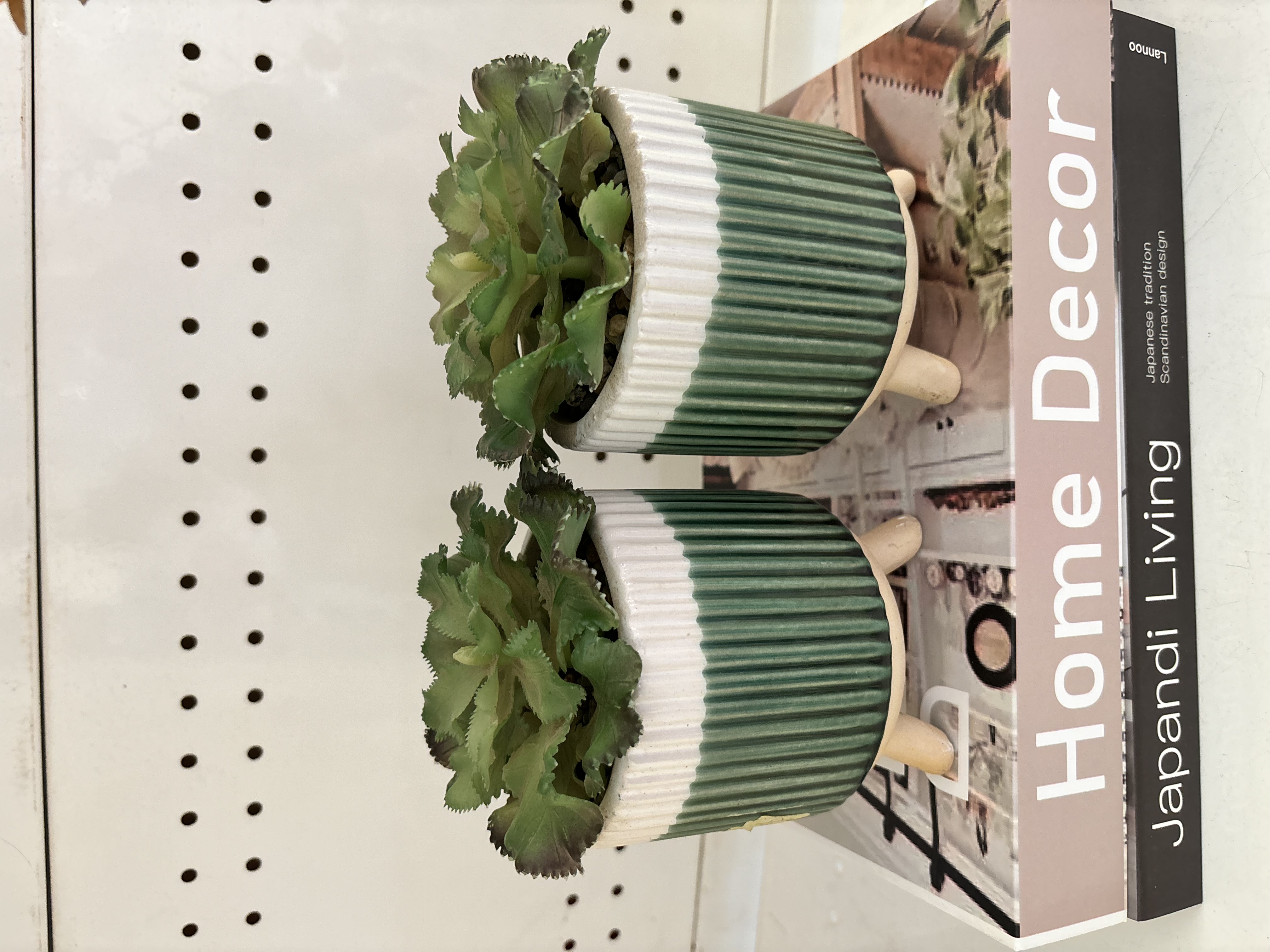 Potted Faux Succulent Flower Decor image