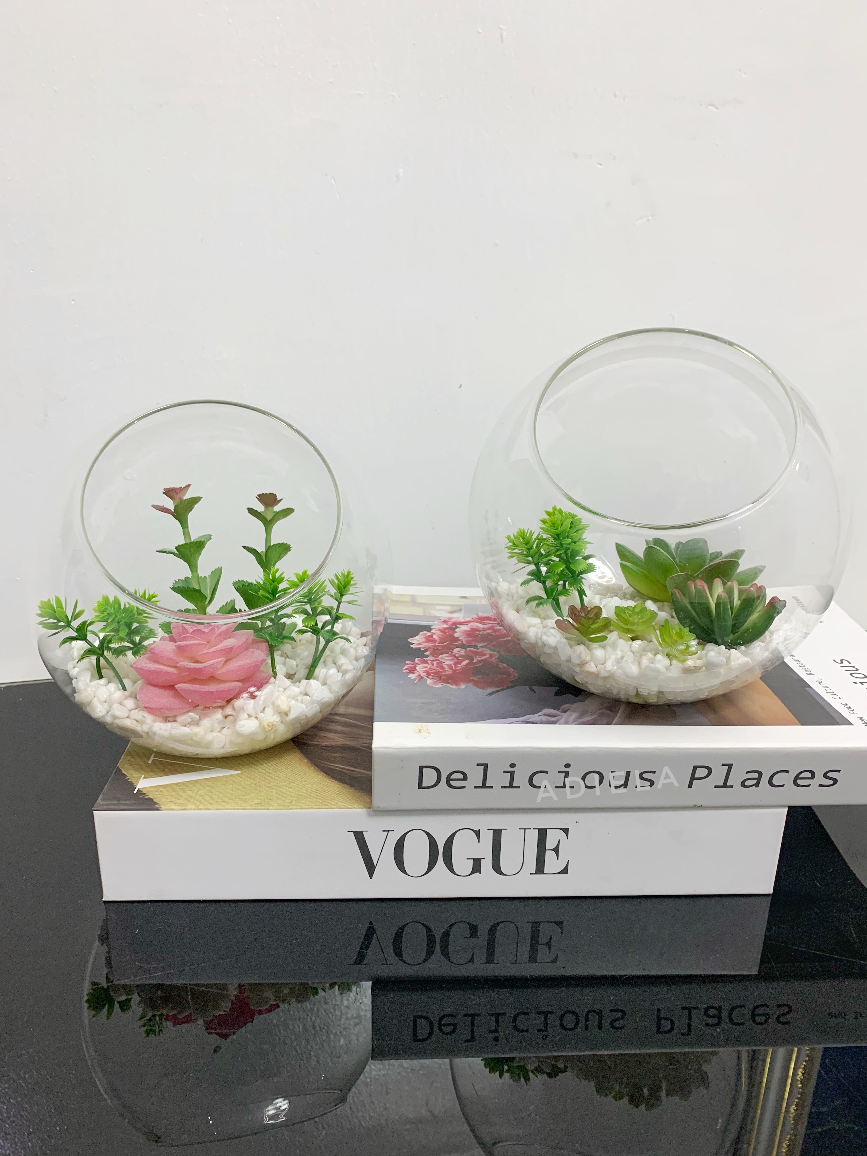 Decorative Fish Bowl with Succulents Image