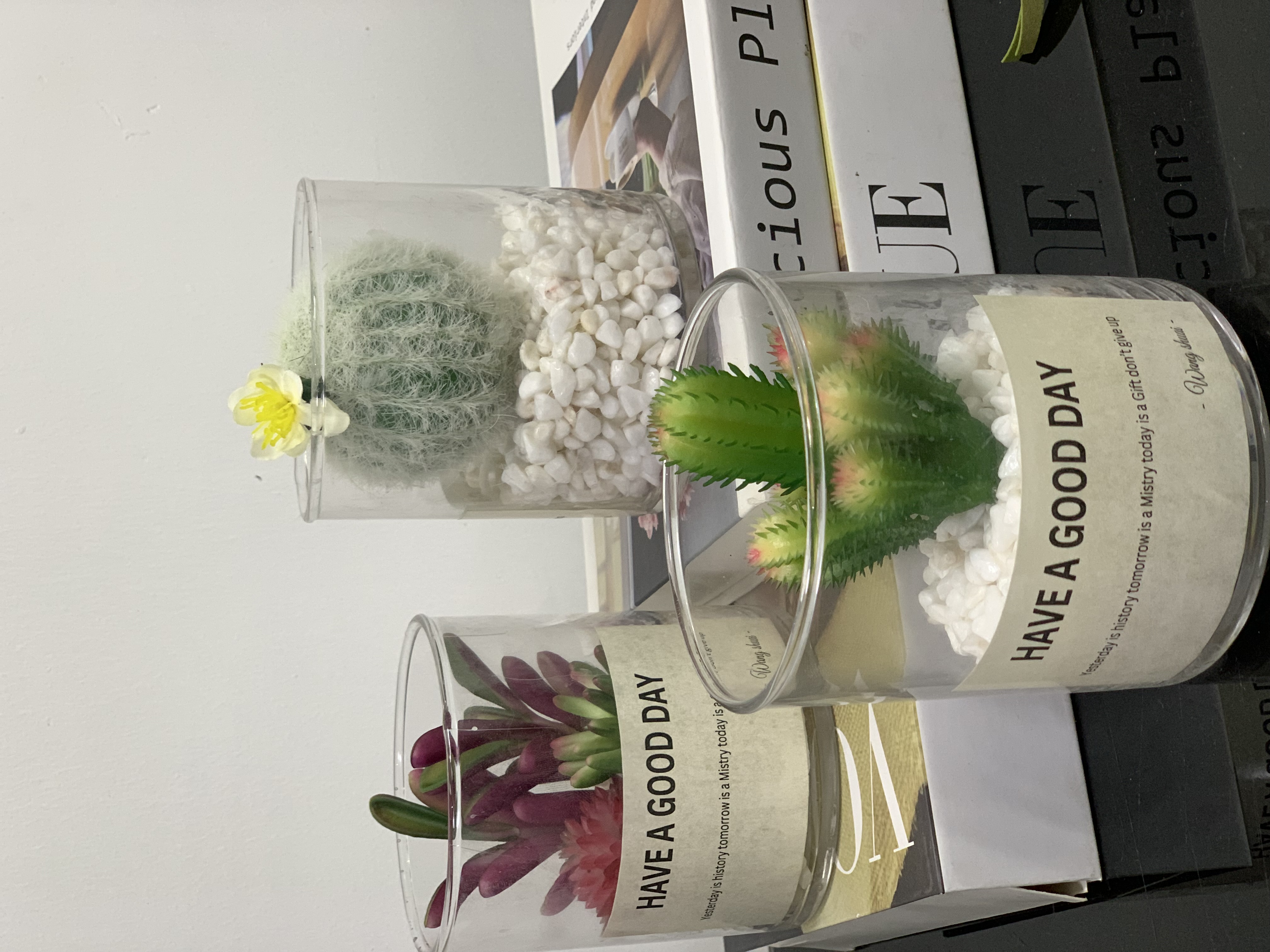 Faux Succulents in Glass Jar second image