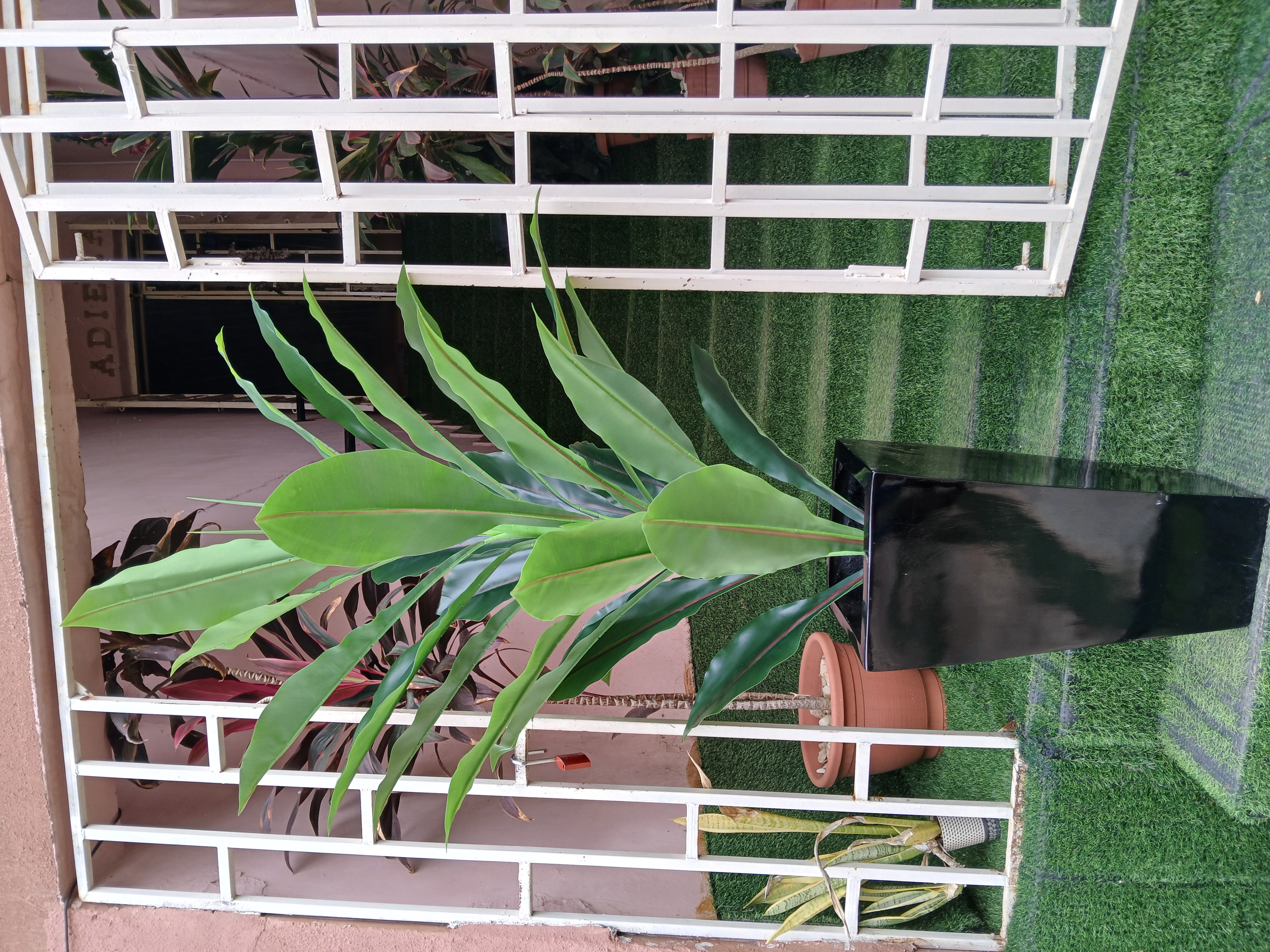 Artificial Tree In Fibre Planter image